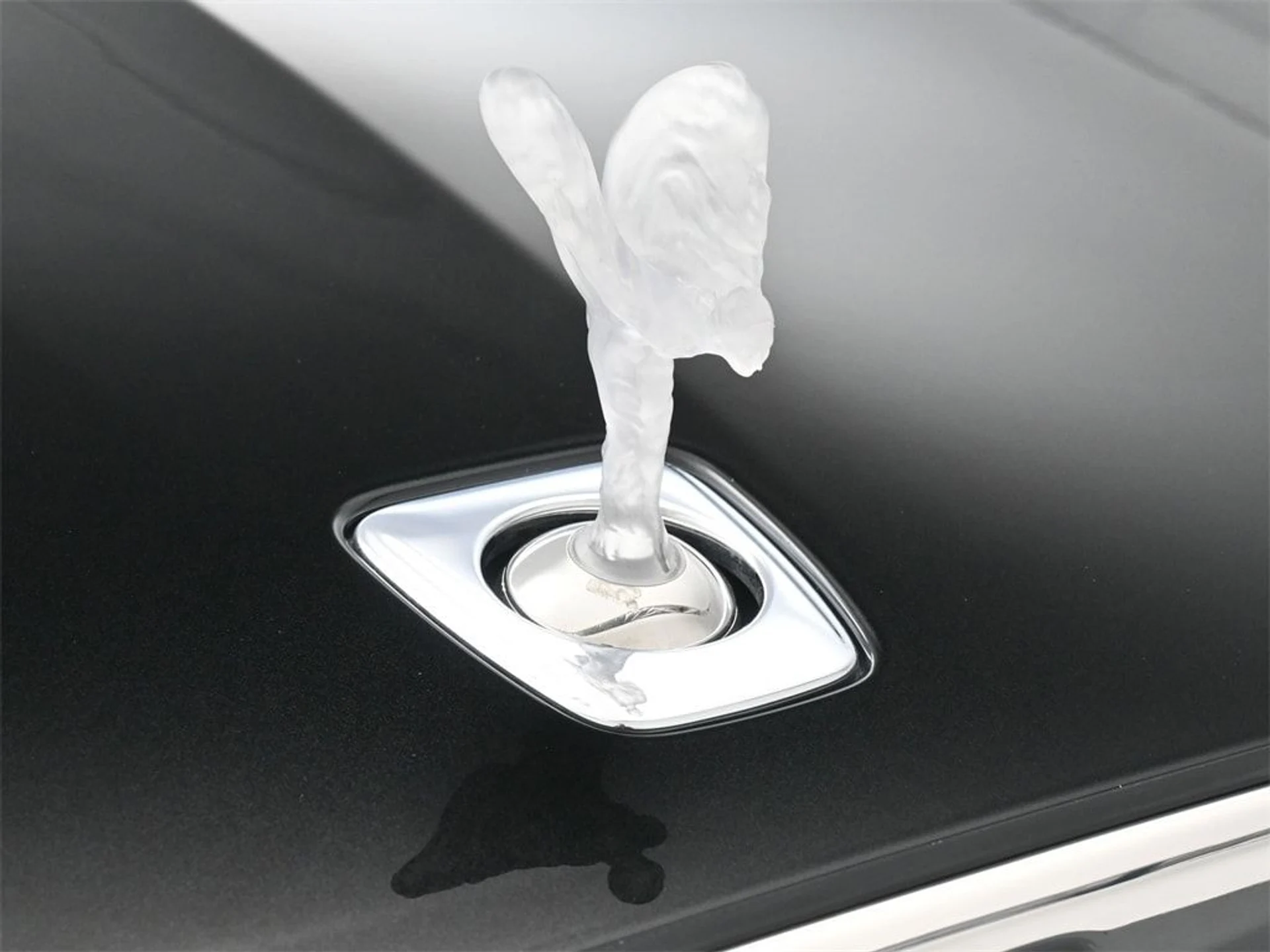 mph006_3499184975_5cd1fed1de6530f2a9850c302a472900x_98a9f6563e