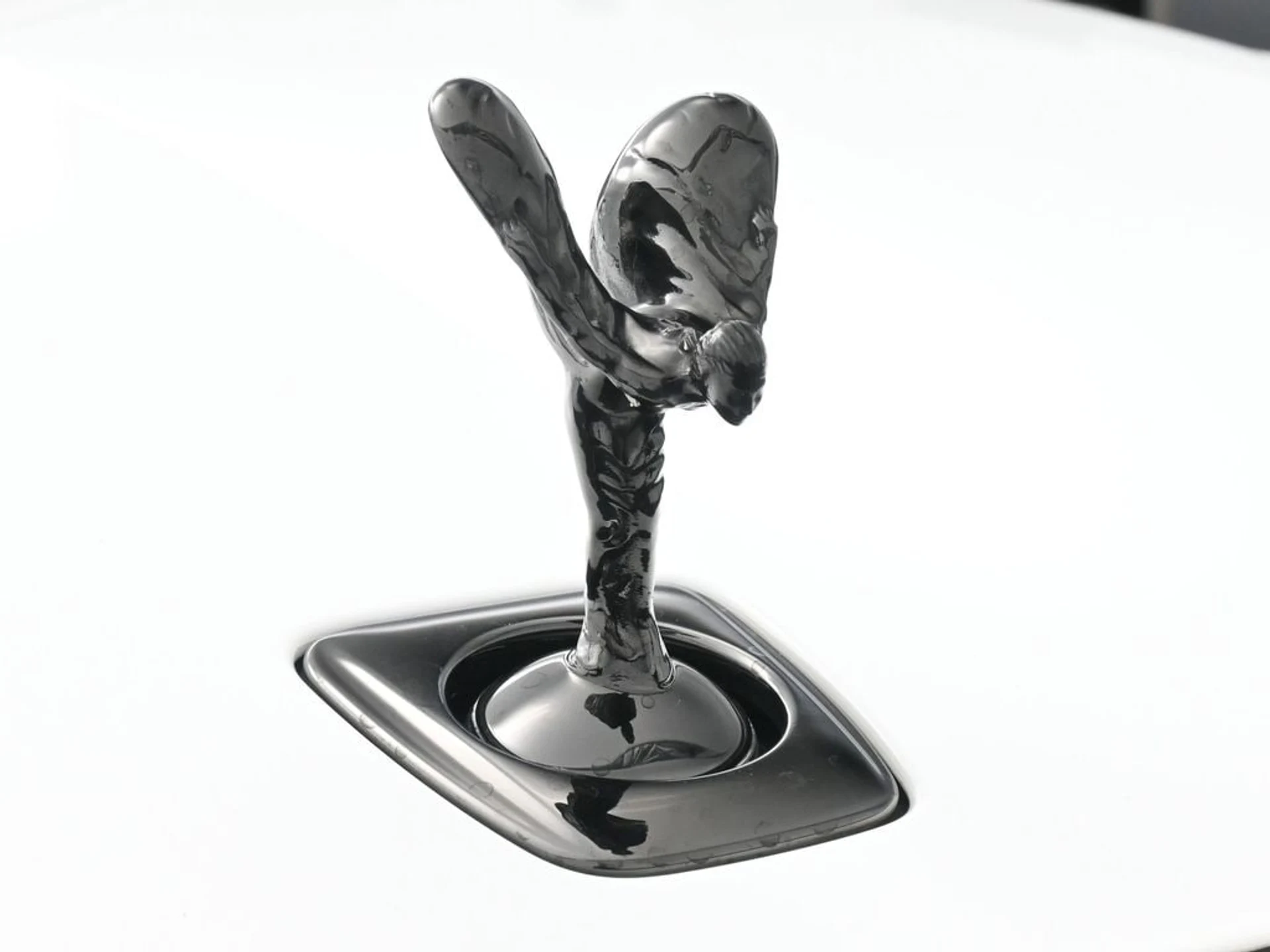 mph006_3504957453_7a2c1374a47f060ced180cd76ebe26c2x_8e4e0120f2