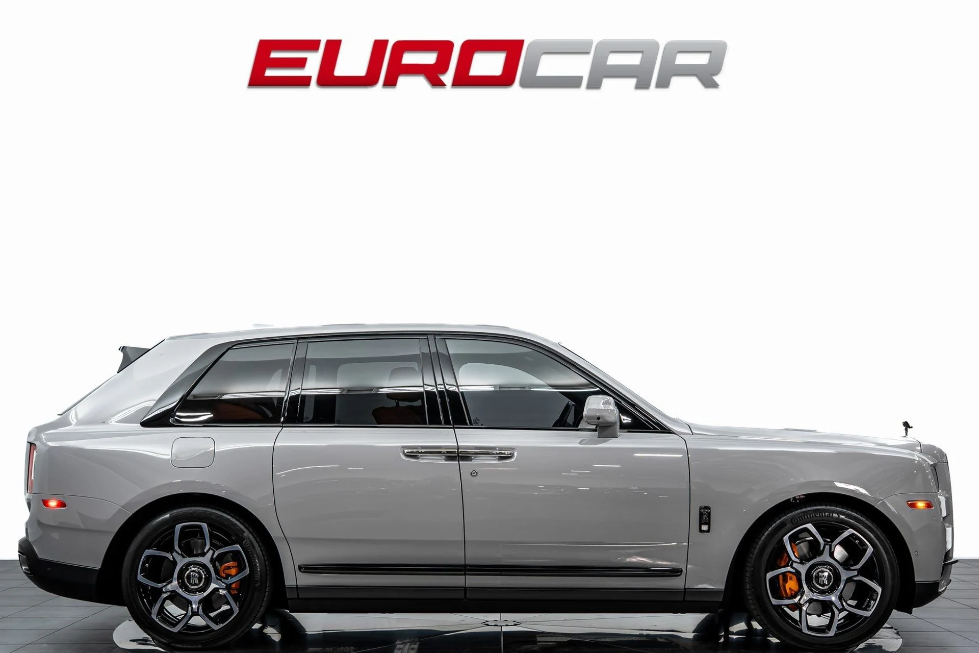 mph006_3520409034_image_7_c58453e6b7