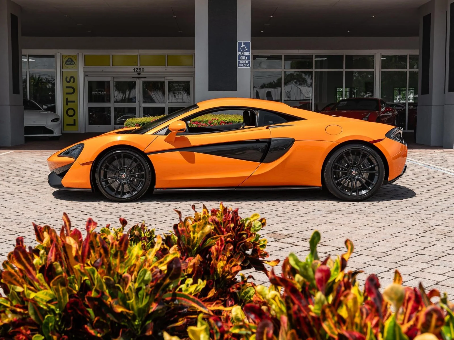 mph006_3528847203_Used_2016_Mc_Laren_570_S_1756483736_54cf58330b