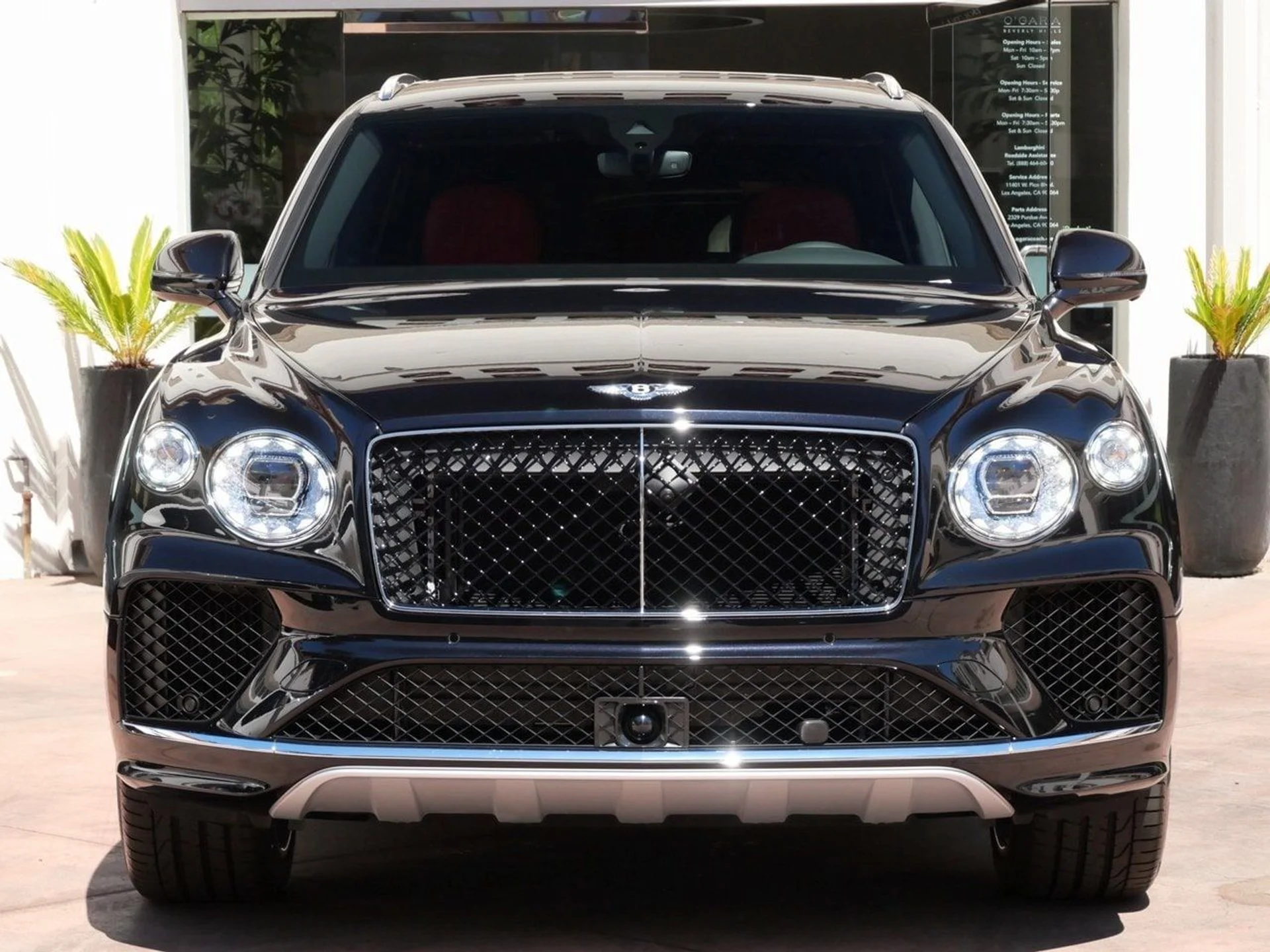 mph006_3557700617_261c7d3917a189e86461168da0a9dc65x_34cf8e2b54