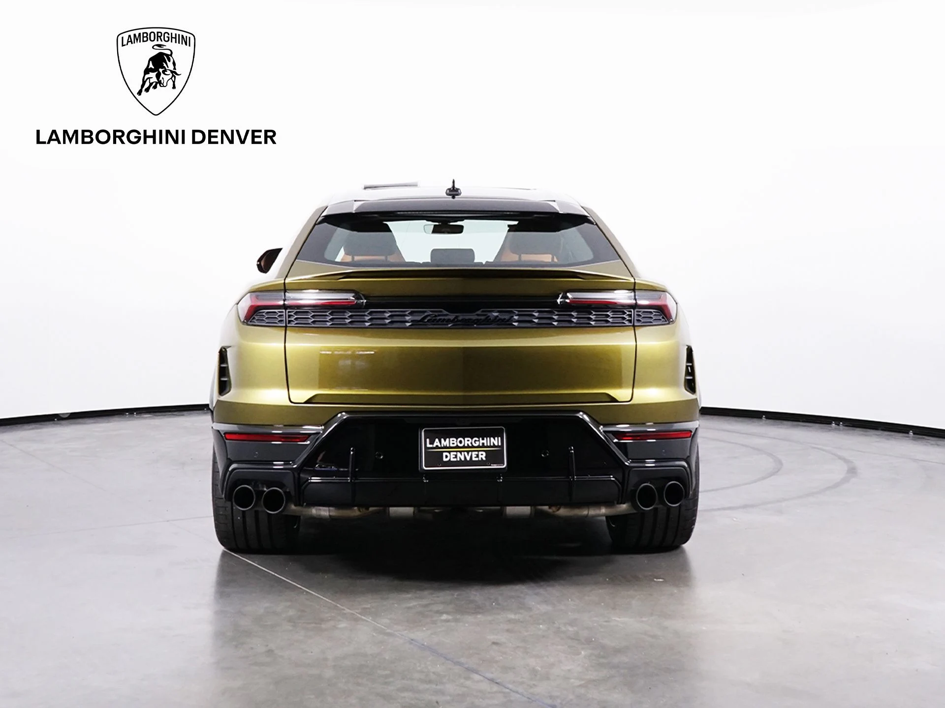 mph006_3588588401_c0da1470a97be5a6dd188ee7d326c682x_6e4954cb14