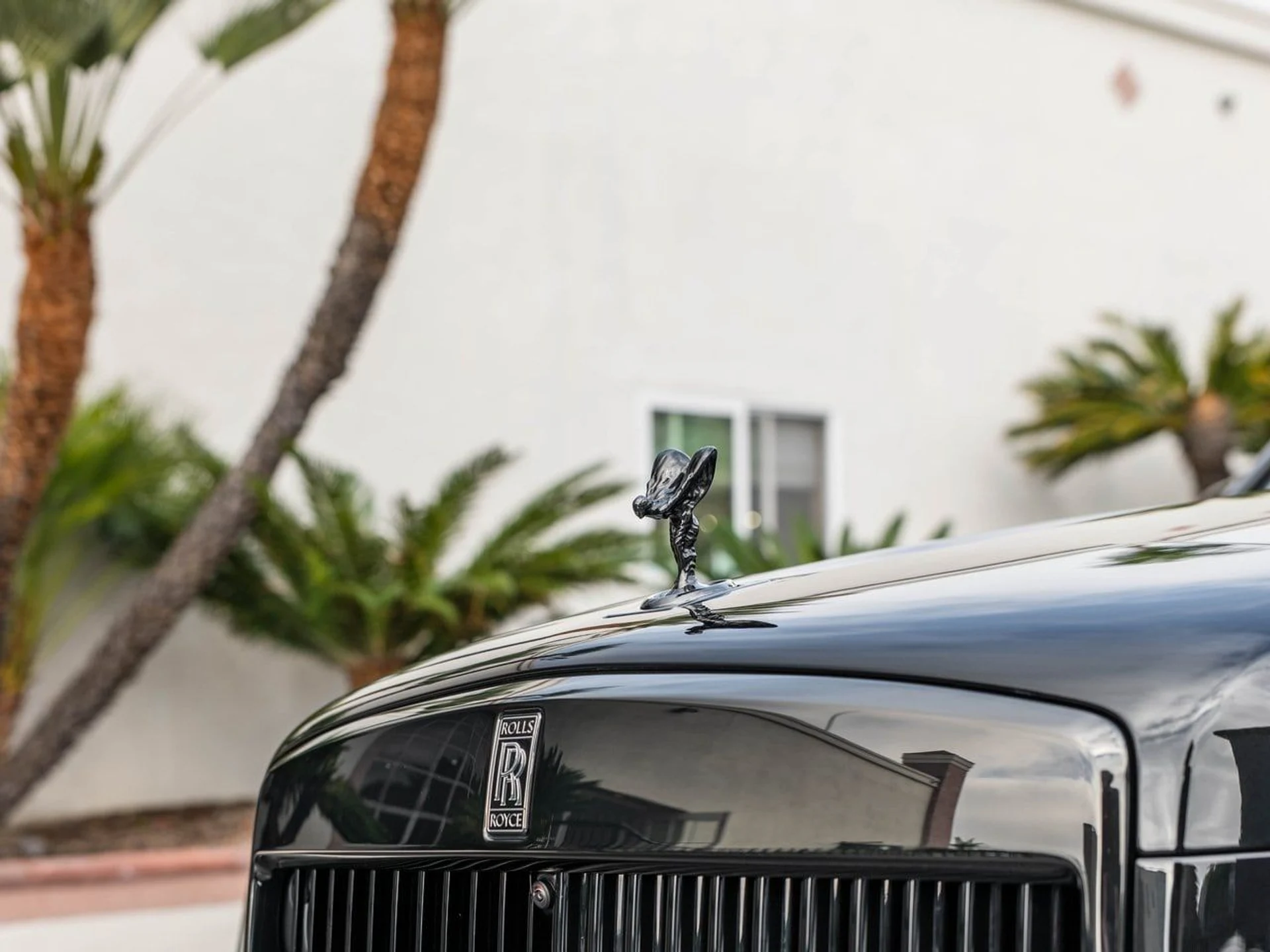 mph006_3606310461_66daff601becef112691d32f297e3113x_34ebec66f9