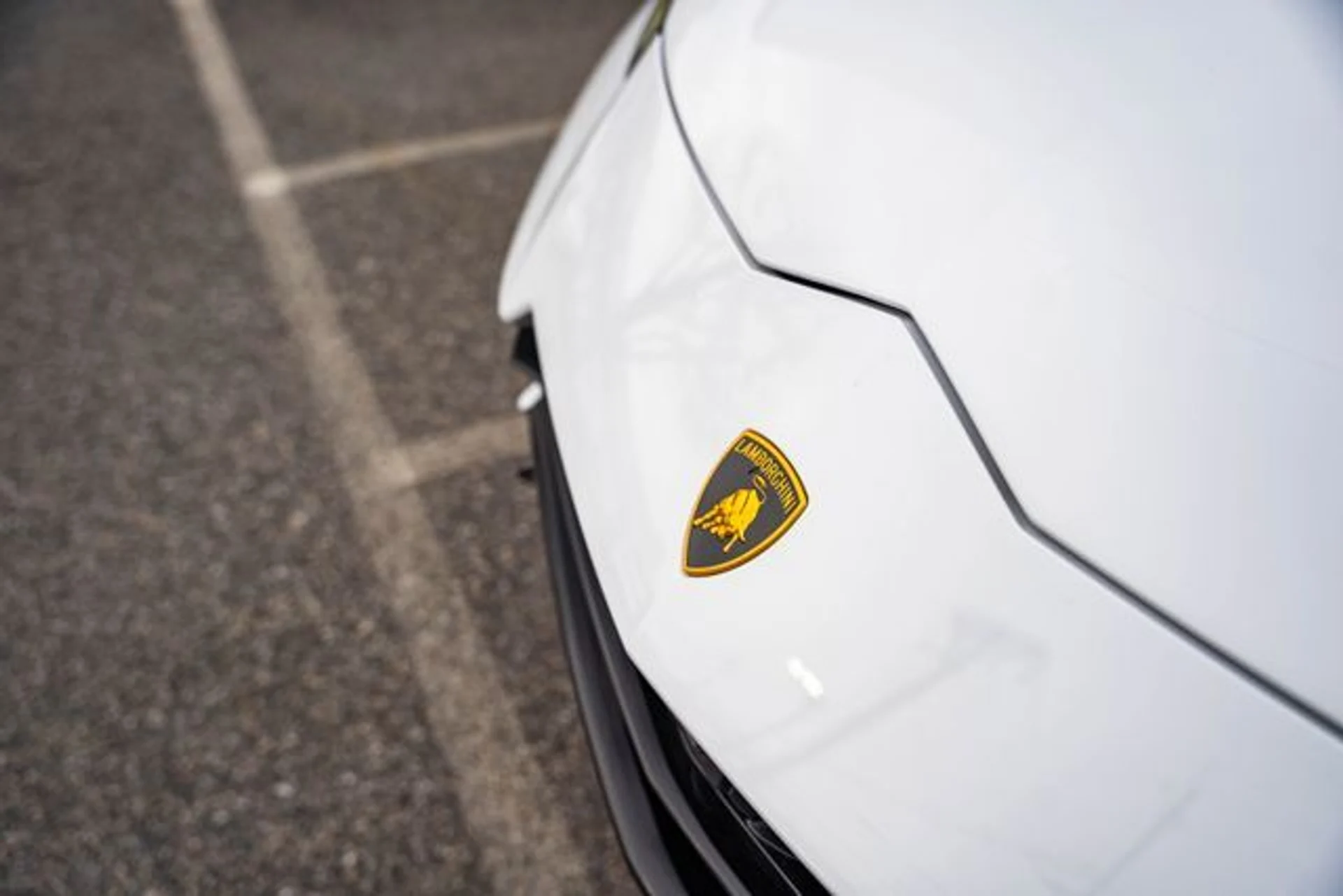 mph006_3610264146_485de5d723645a63771a9b1e8d2b98b2_ca55b23aac