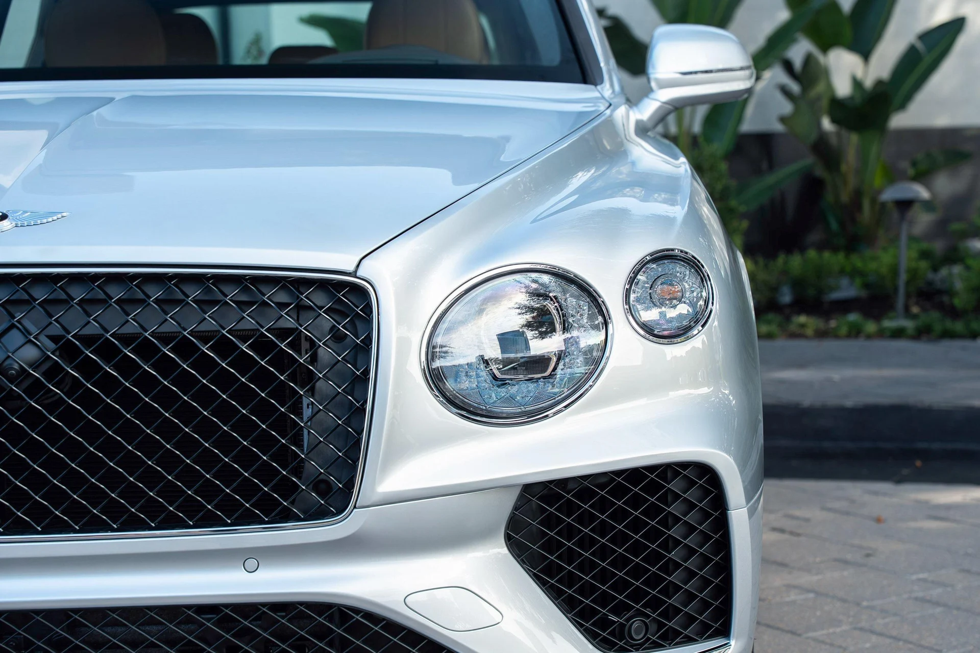 mph006_362531214_458241672_6903b3180a044fad19f2b9fa_61e0ccad74