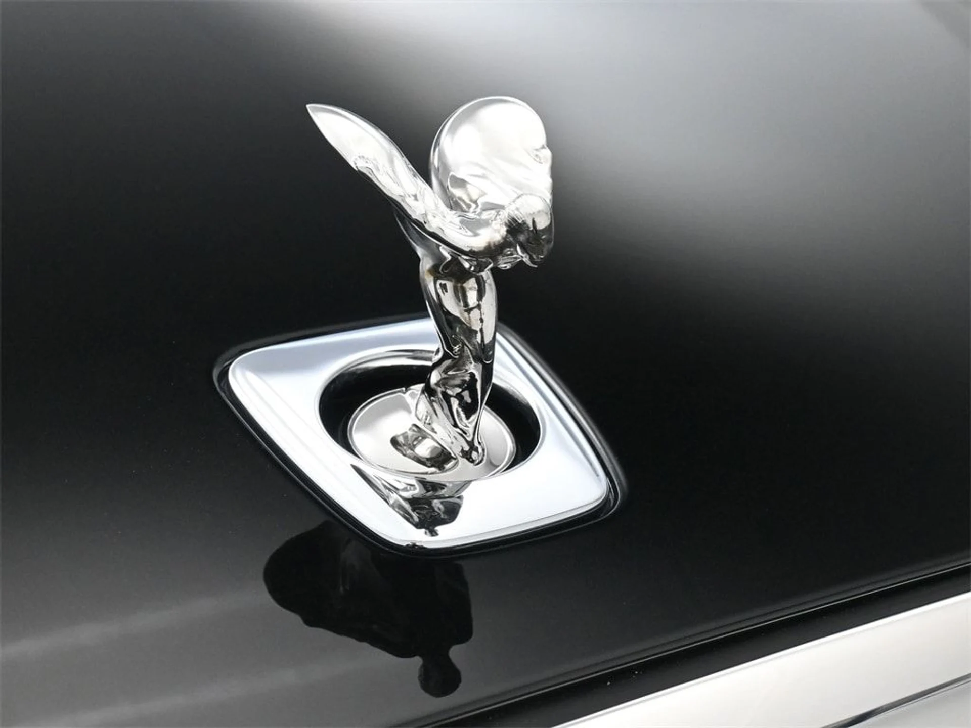 mph006_3631669962_5ec7771f65c5e46920467c4eb2b14011x_2c604f0fbe