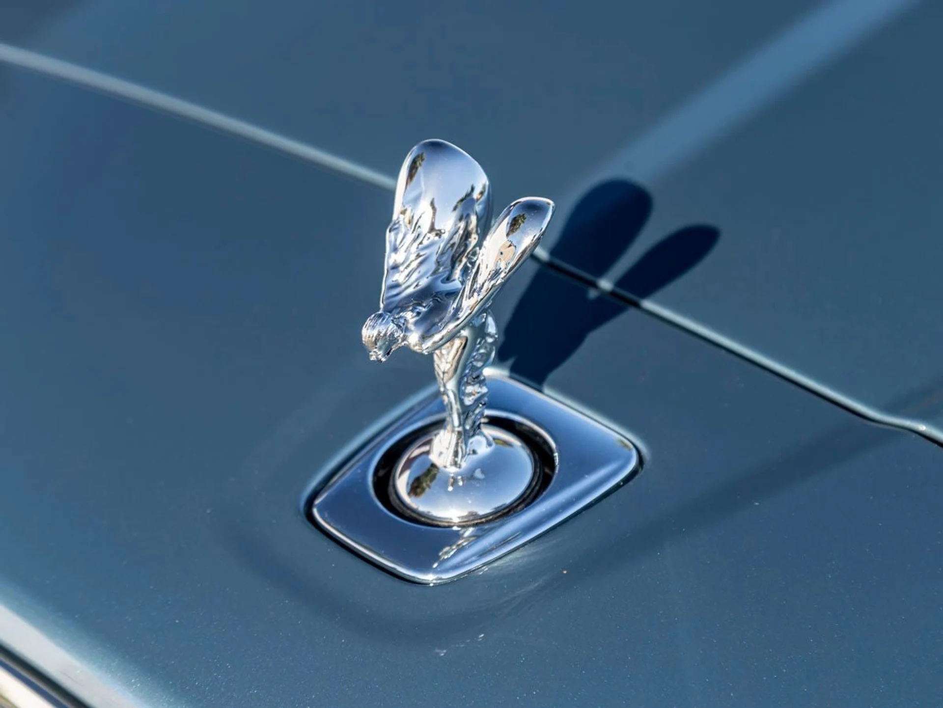 mph006_3679114693_7_480317f189