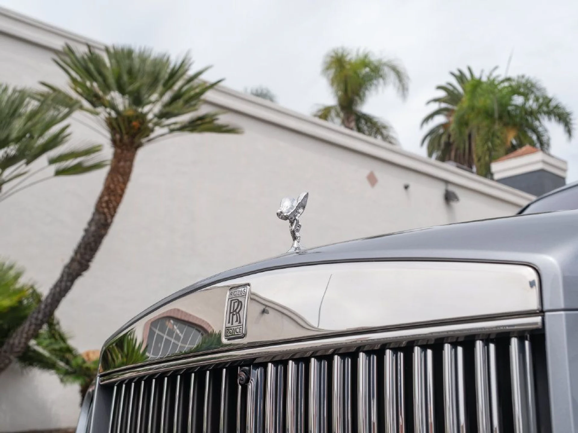 mph006_3707757357_761680706be90a673bf3463b44191d54x_a2e125d7e0