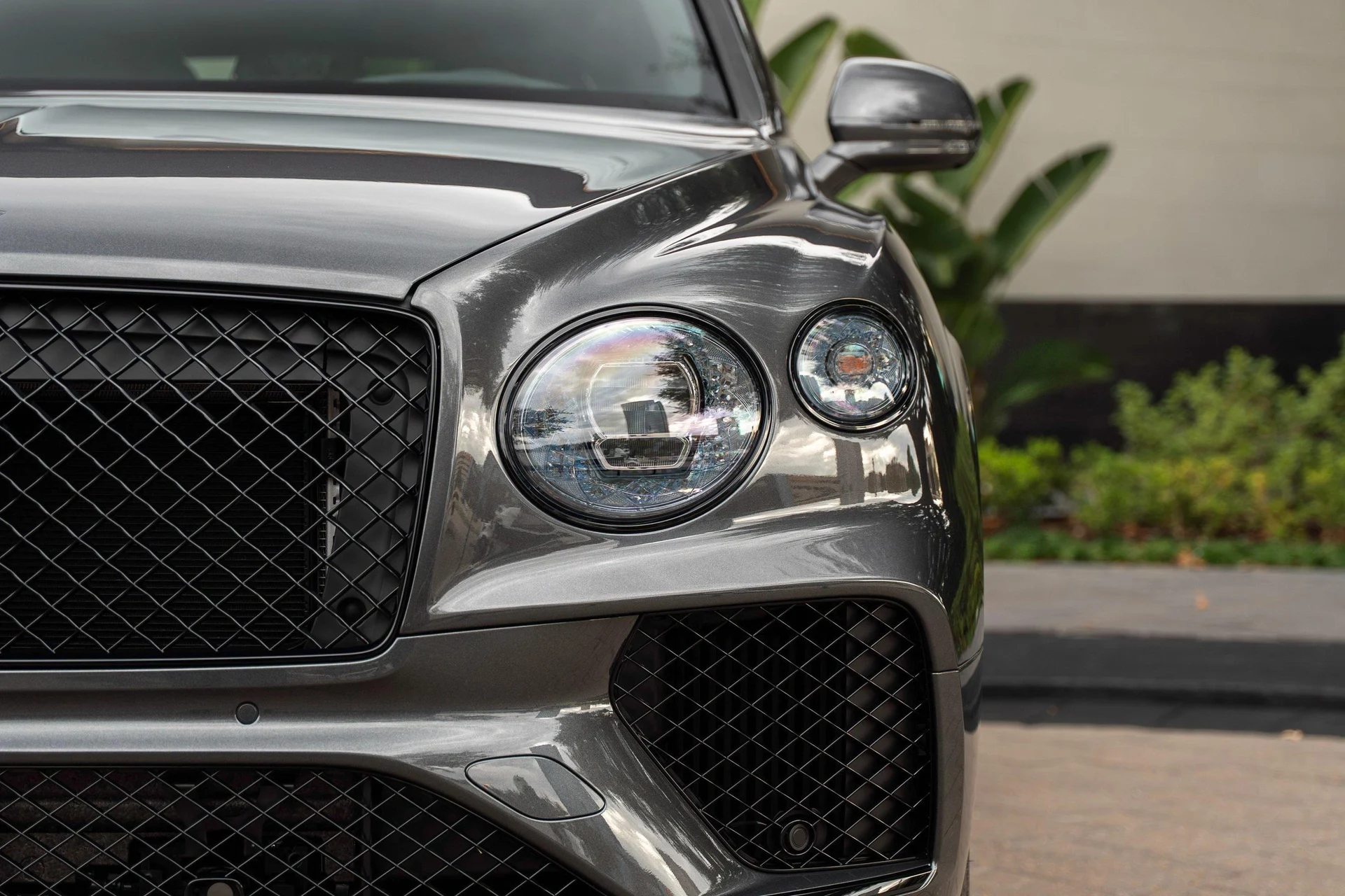 mph006_3713889354_481316810_6967312f06313b069d563bb1_a1f1f5b4d4