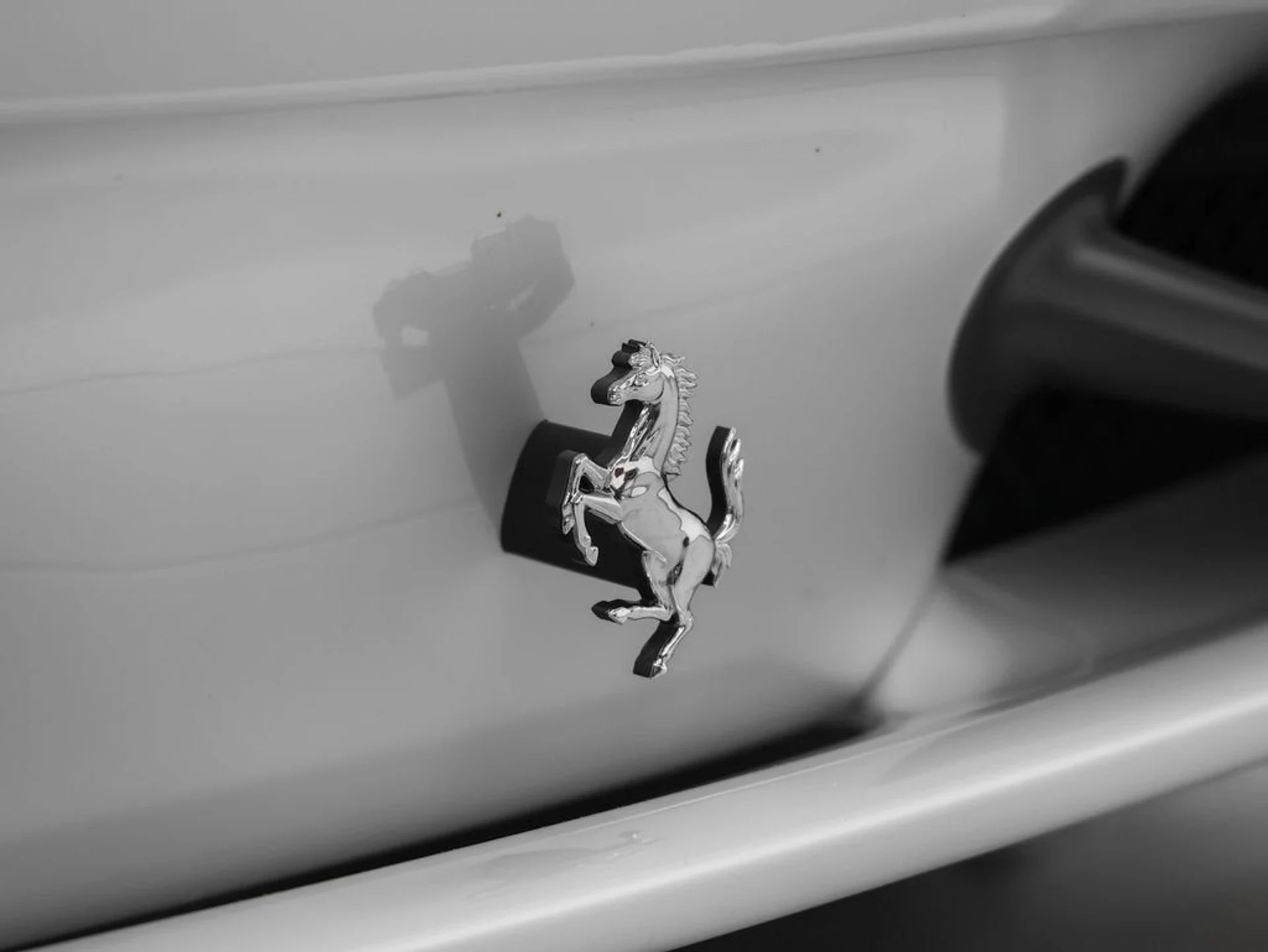 mph006_3719442834_7_563d9cfddb