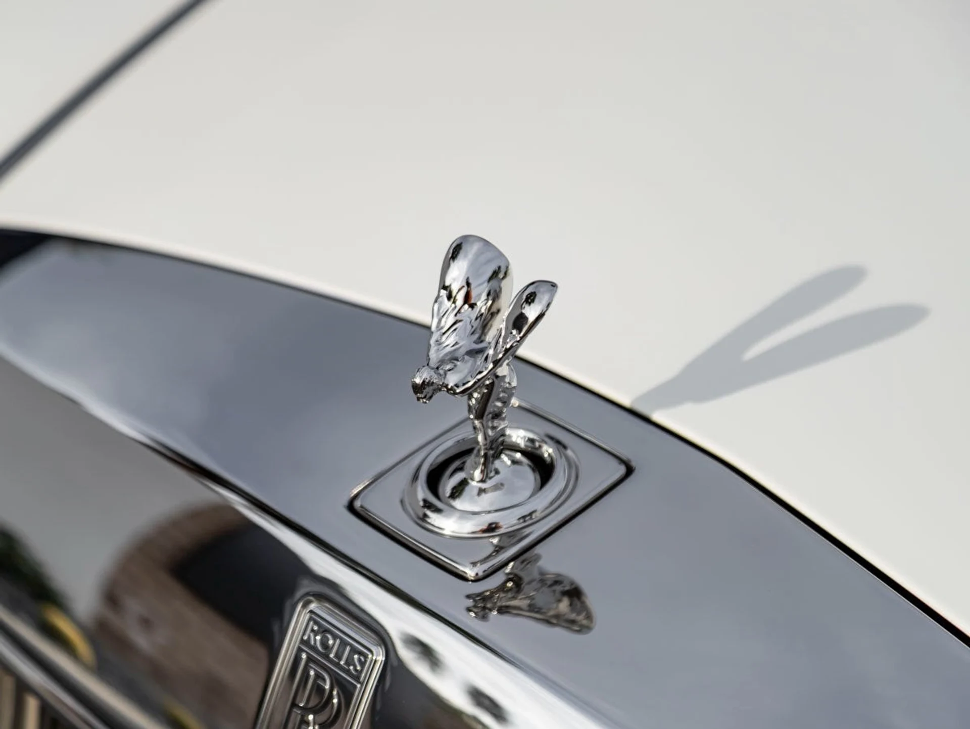 mph006_3720711713_7_20084d17b7