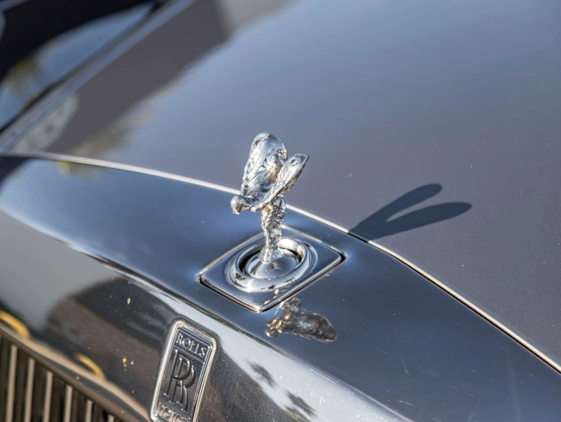 mph006_3729289737_7_c8024ead7d