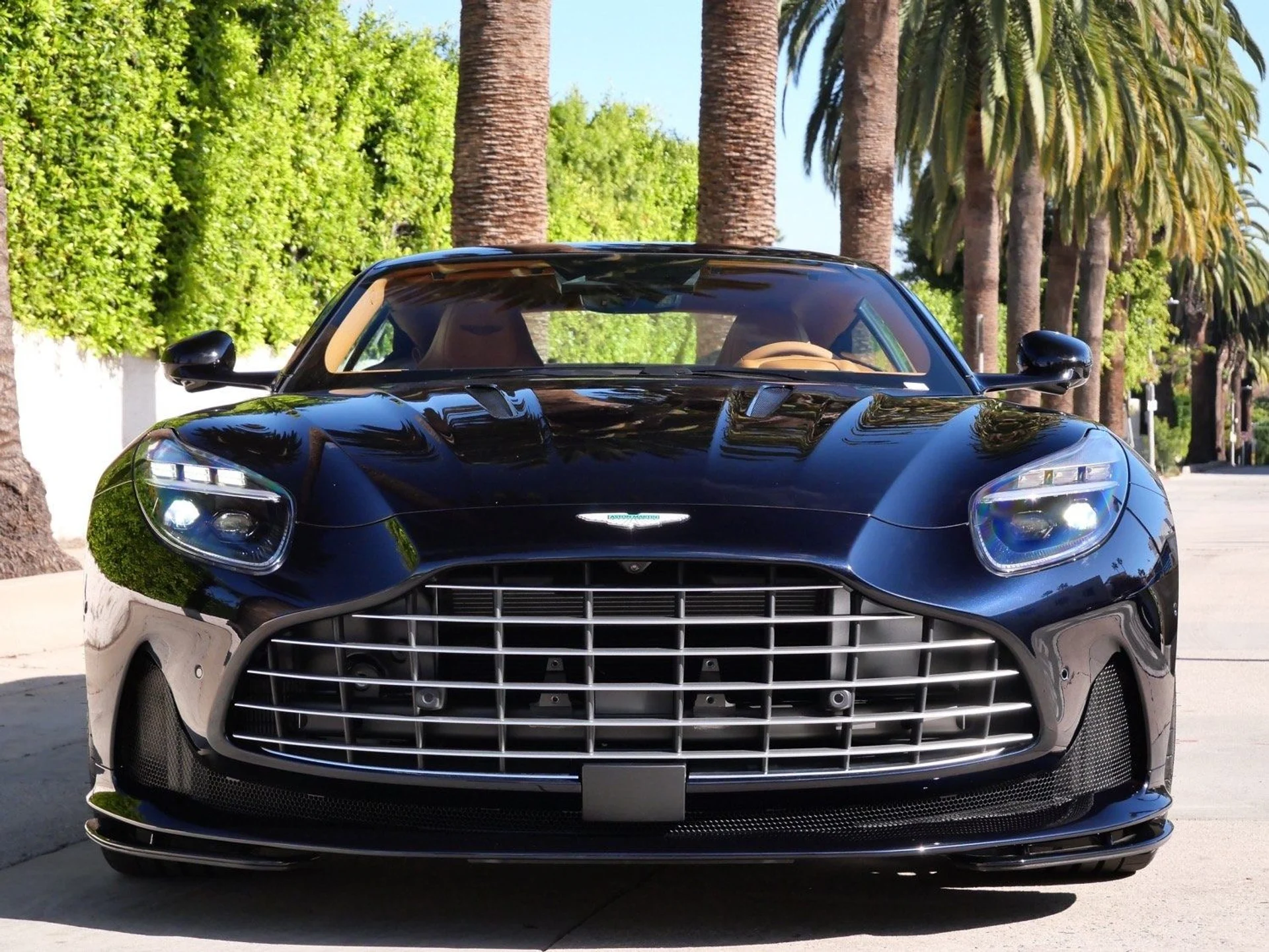 mph006_3735133380_b4f4e24bd5452bd87e067331e23af2fax_583c850e32