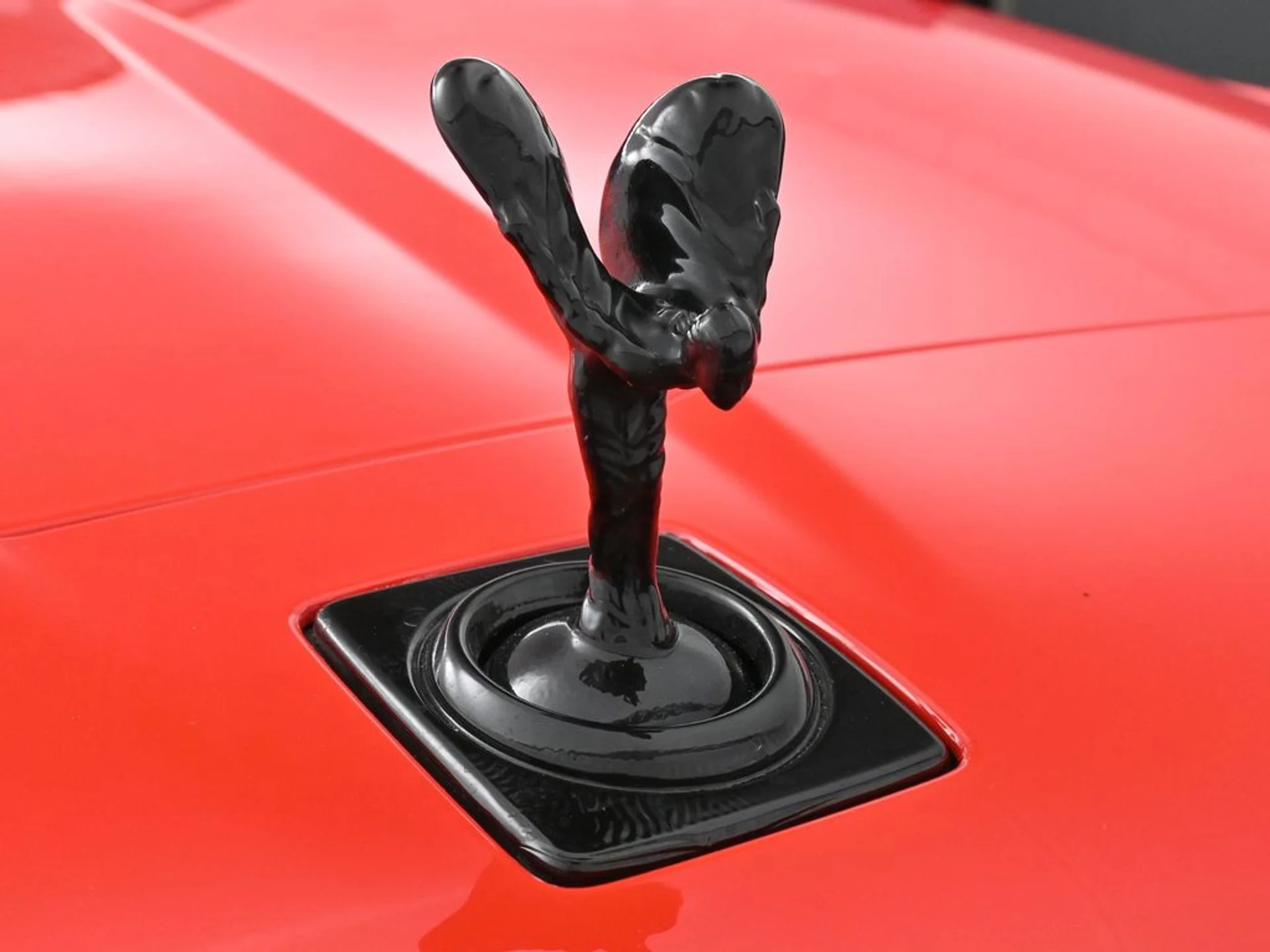 mph006_3760128112_4a5f6321d3496732dabd41b2c5bfb638x_247e506a89