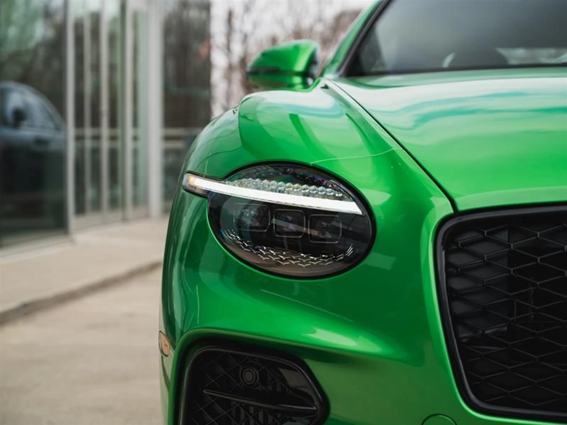 mph006_3778201289_a0monguo_709edcf83f