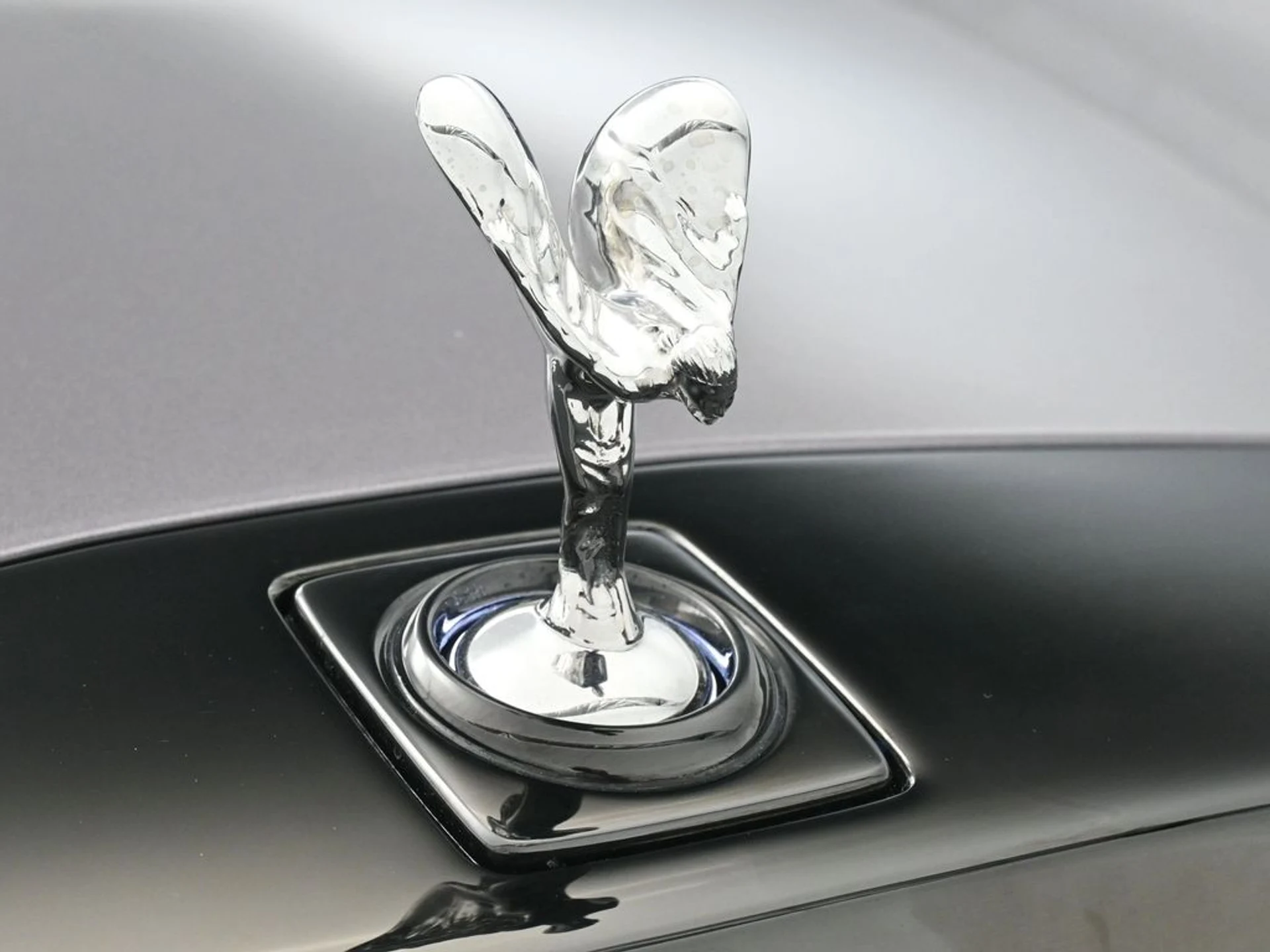 mph006_377902204_51868d3e68cfa04453e1cc0041c04fcbx_185a91424d