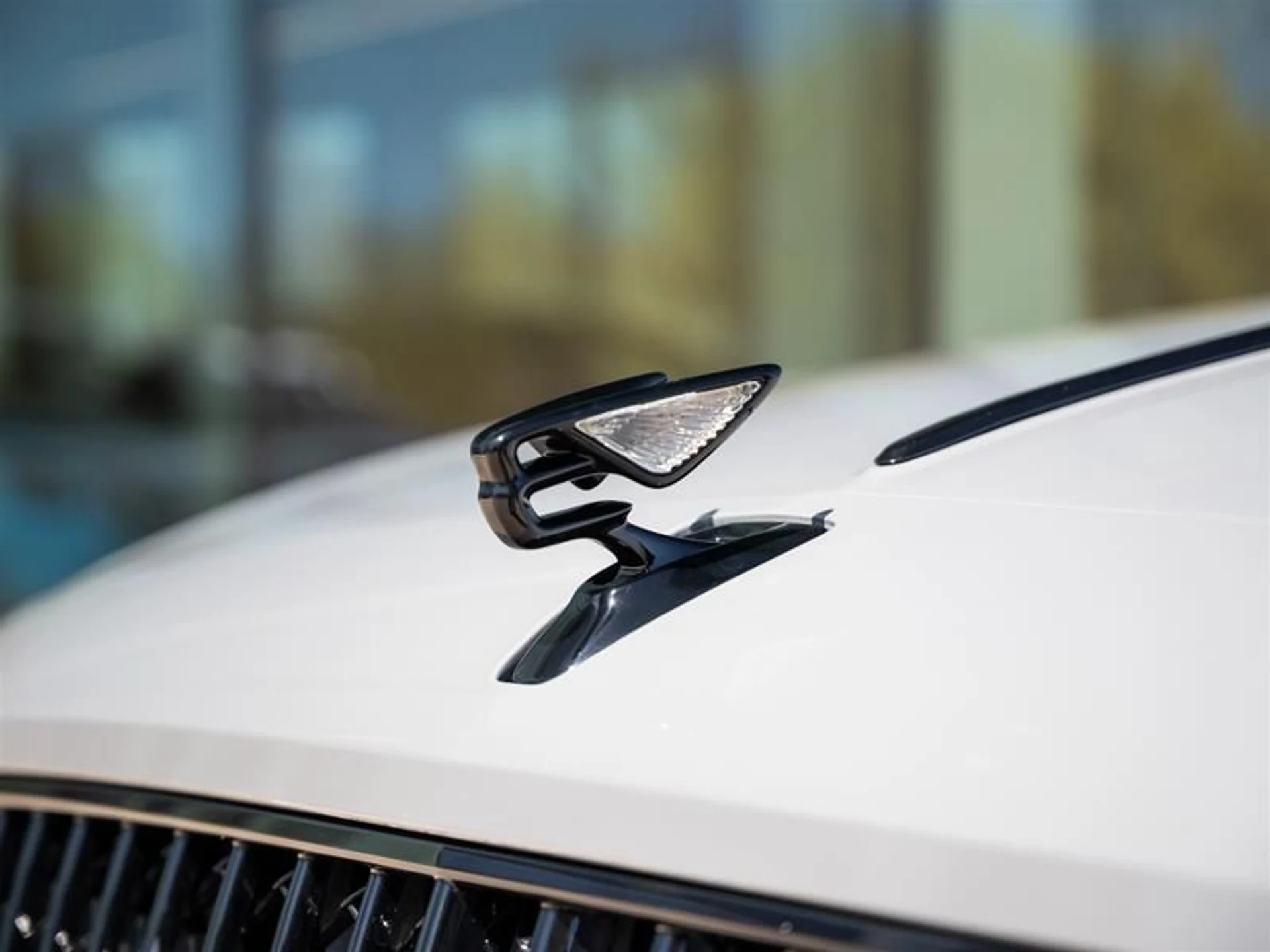 mph006_378231162_c3fyoncd_cd115ff099