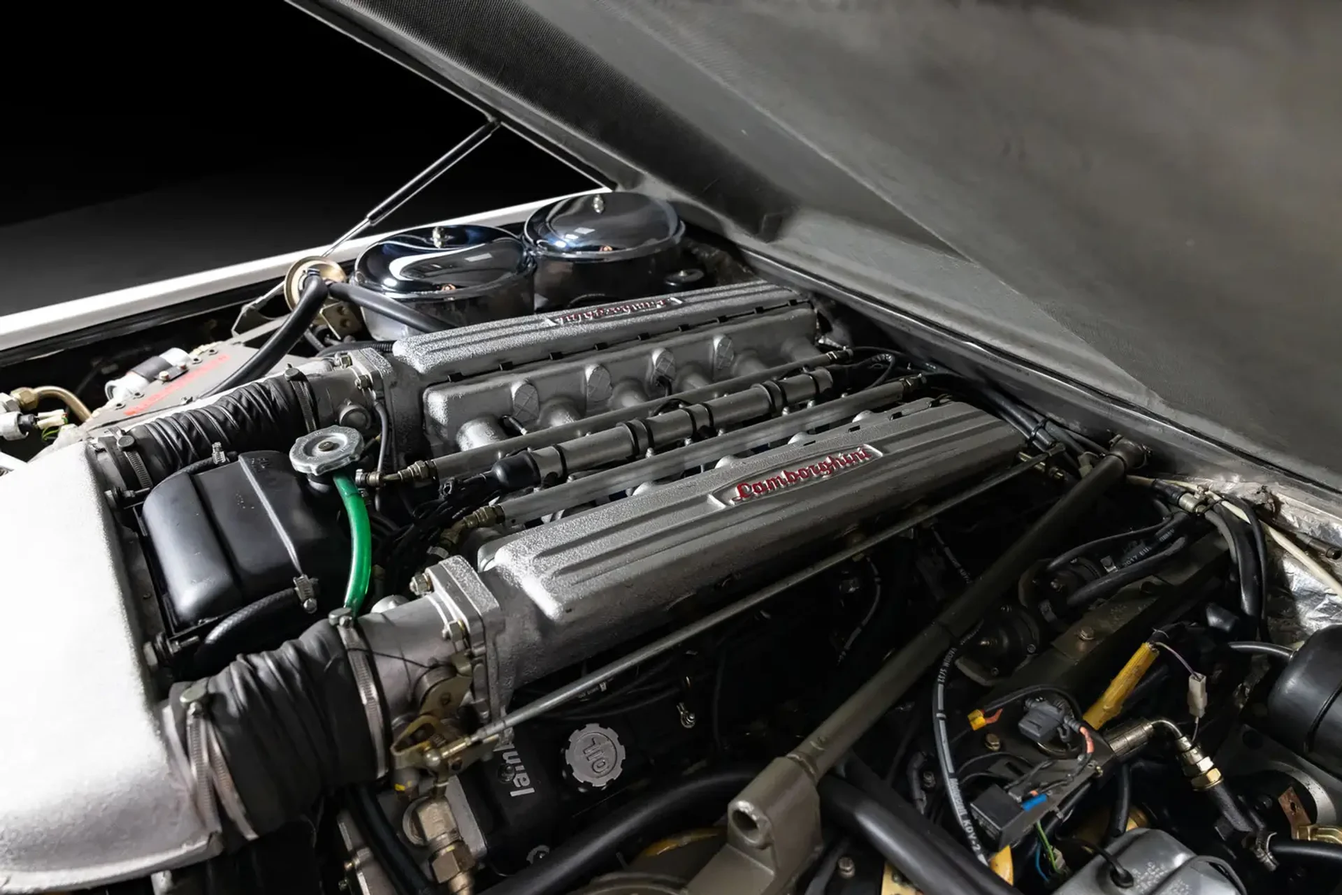 mph006_3788547450_69afa6d49314dfacc6f4c448_gallery_image_6_1773119183579_6abf336aaf