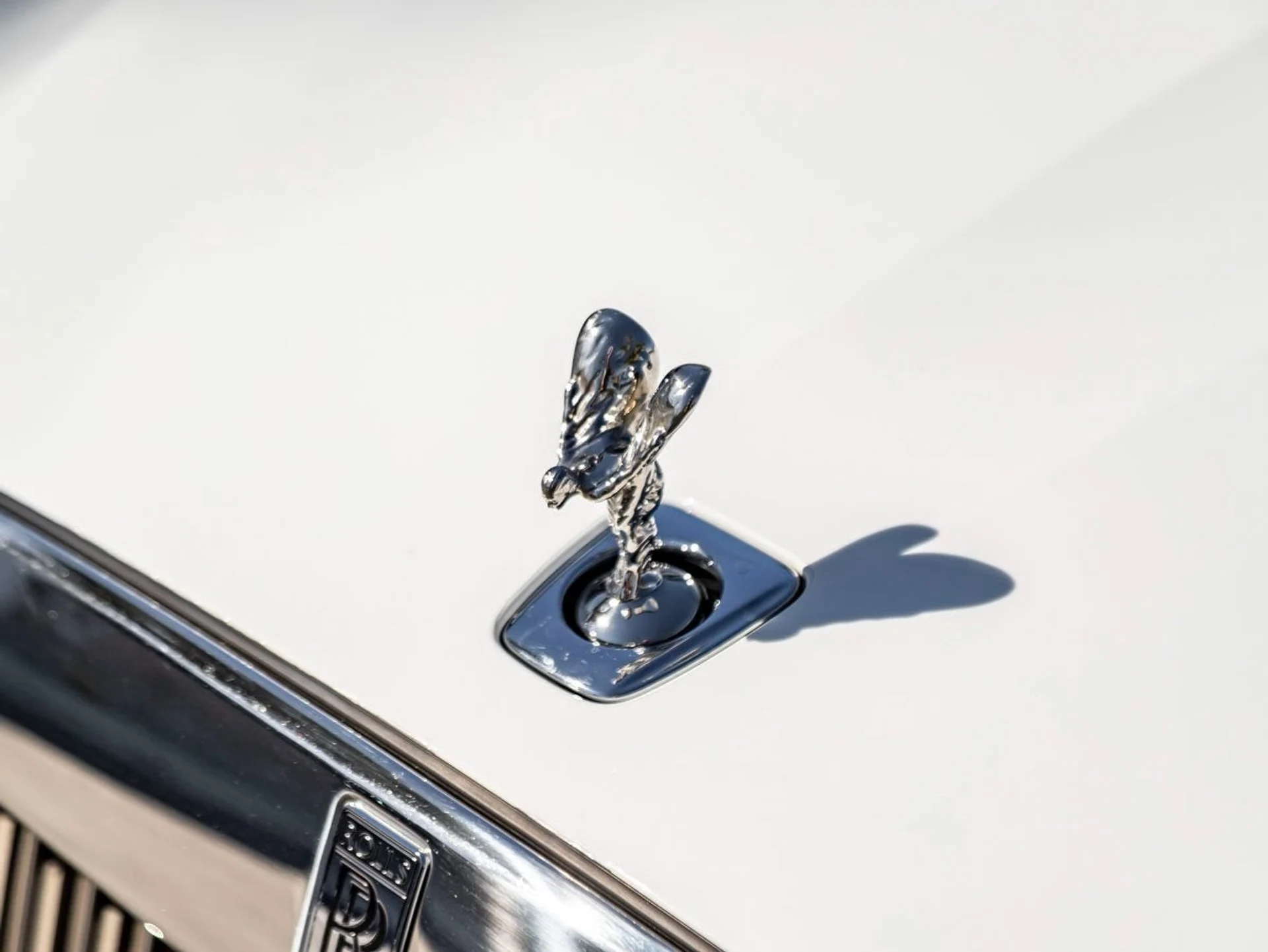 mph006_3797442457_7_caeeac8e01