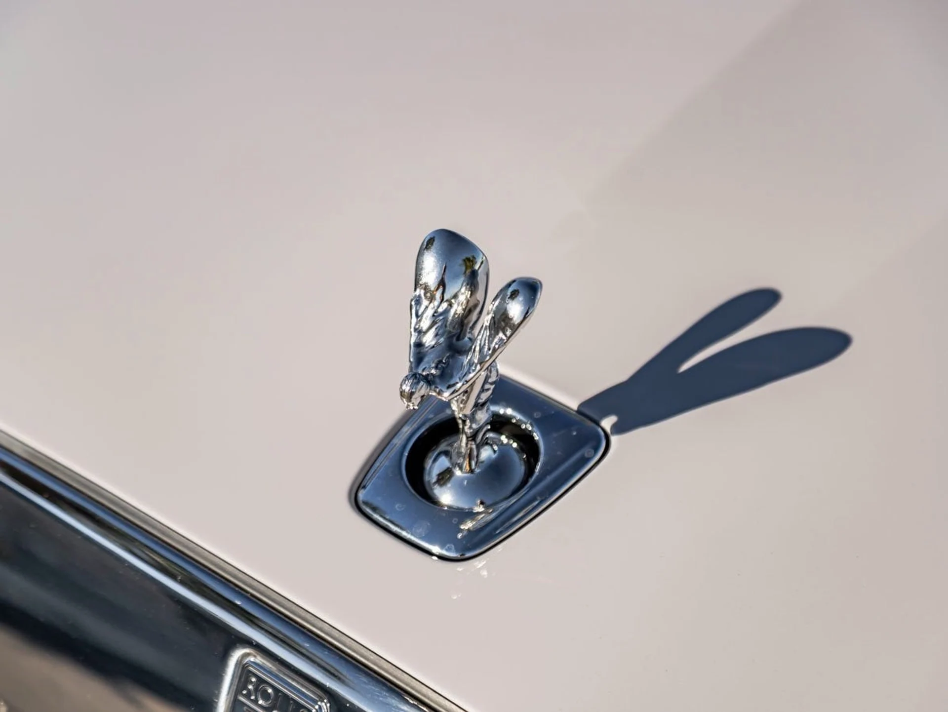 mph006_3828604185_7_ed795f0ee8