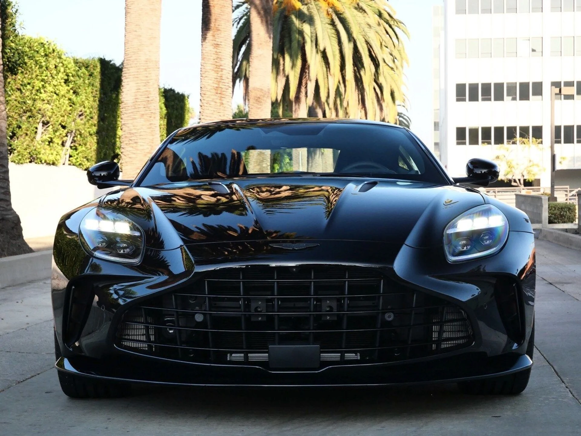 mph006_3854363581_a2aaff3a51390b6bd346491a04cdf385x_b6110bcba4