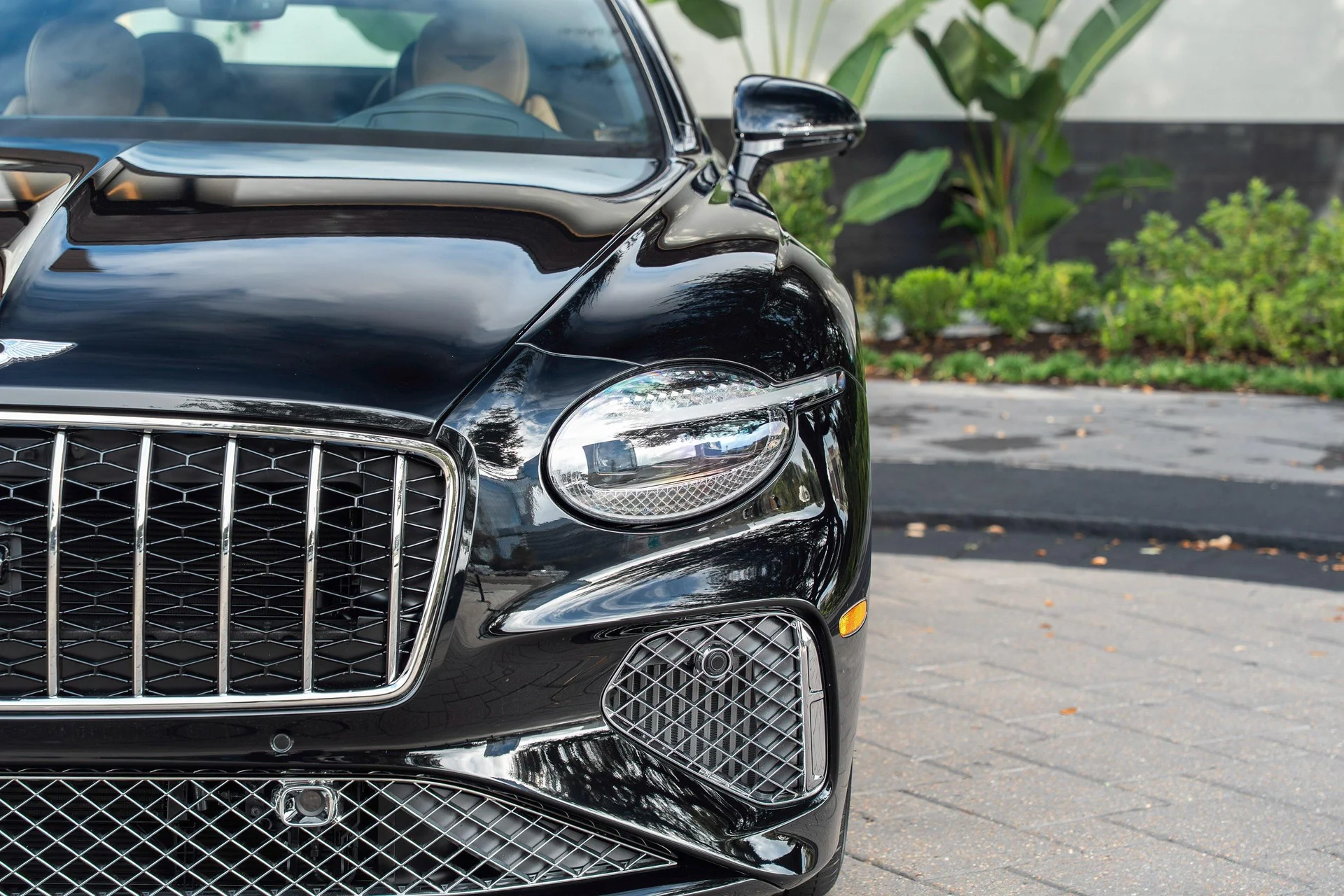 mph006_3859446810_462758408_69200960af5727c8024d8172_7a9ed729dd