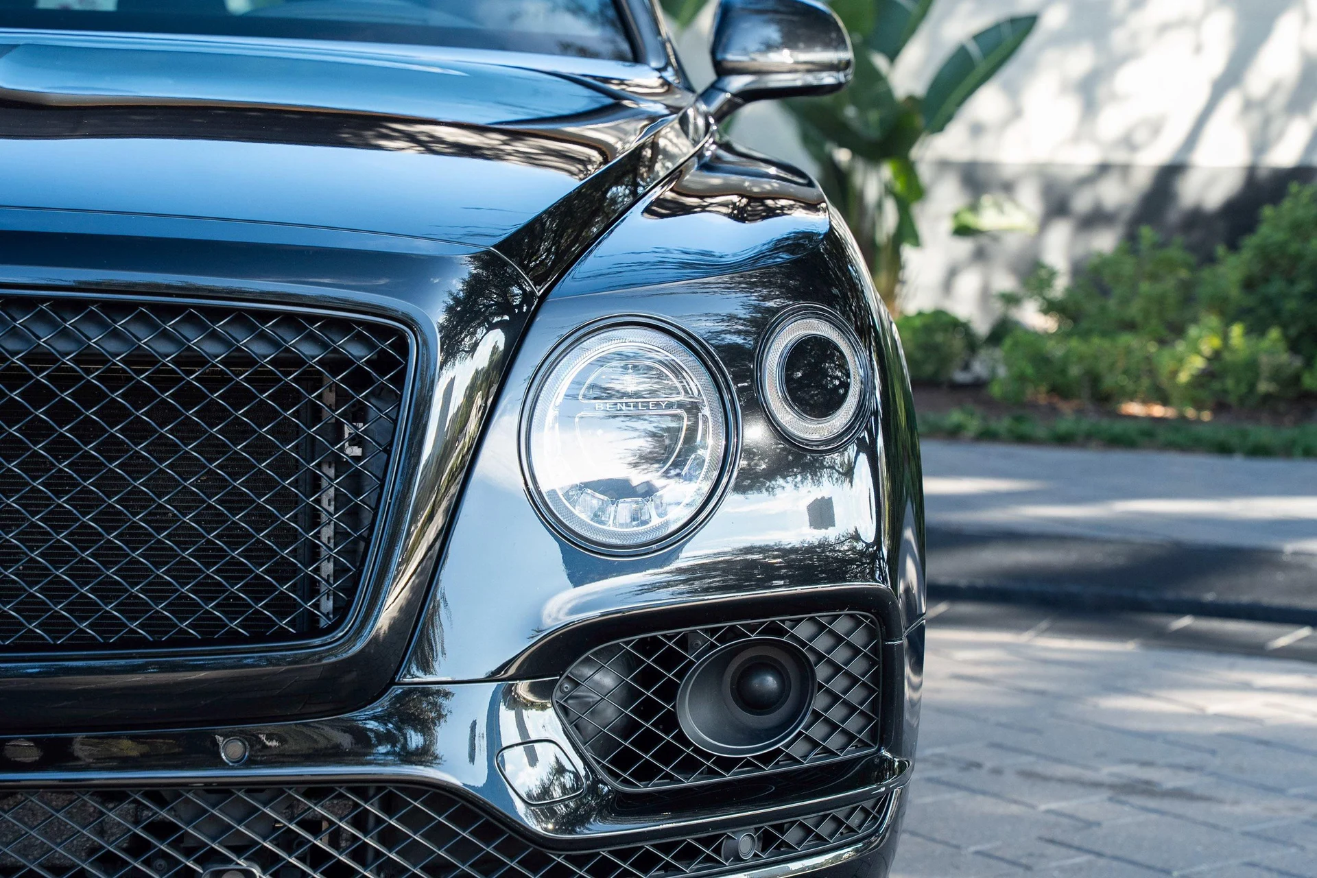 mph006_3874474355_476162065_692f07cbe2421a9470ea5745_2e13f8adce