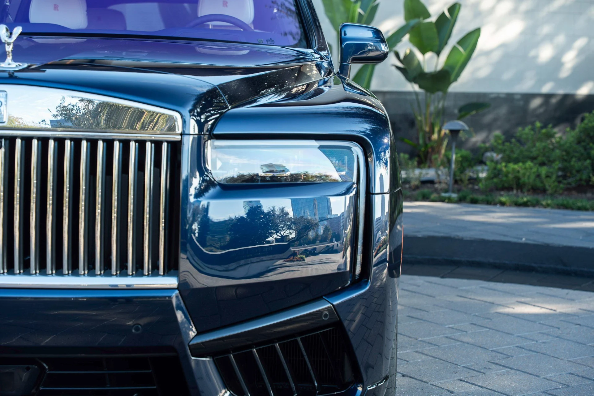 mph006_3890171239_465211304_695cc2968f3ee920bf5187b3_fa044df524