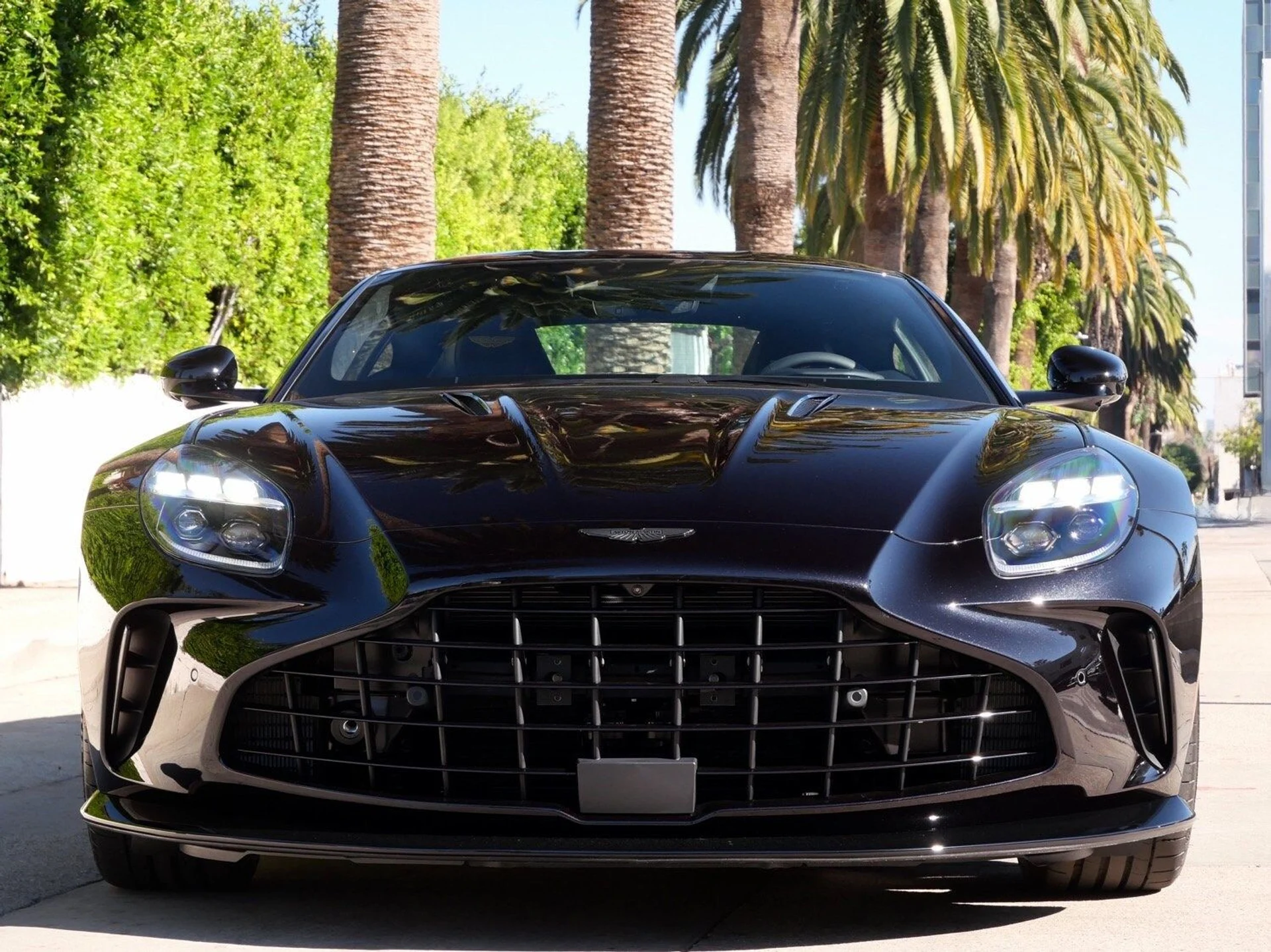 mph006_3896897652_e1e461210e3f34e3e311179e4cf0abe2x_7eb917bc2c