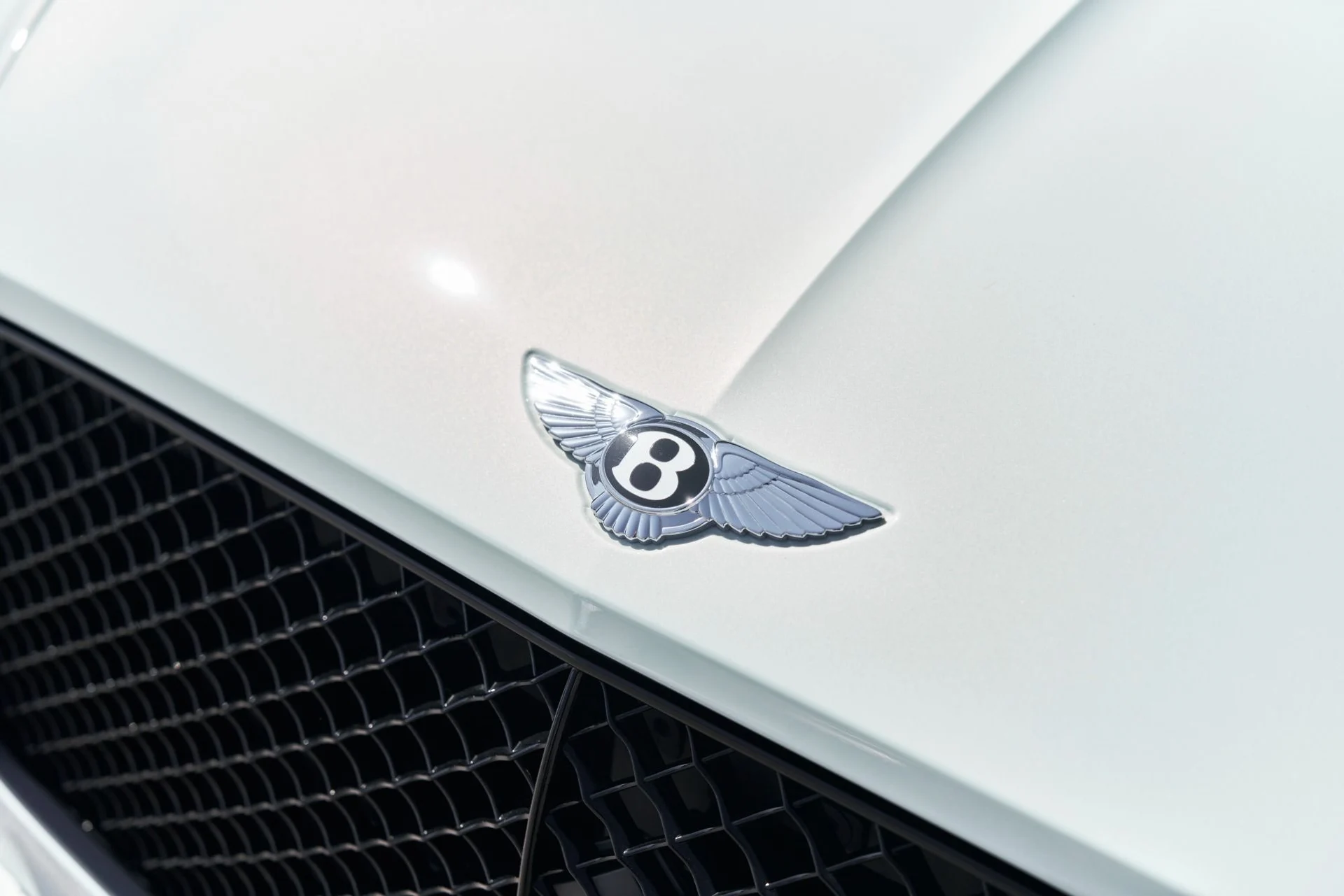 mph006_3907535614_Used_2024_Bentley_Continental_GT_Speed_1758316019_e6f9a6ef88
