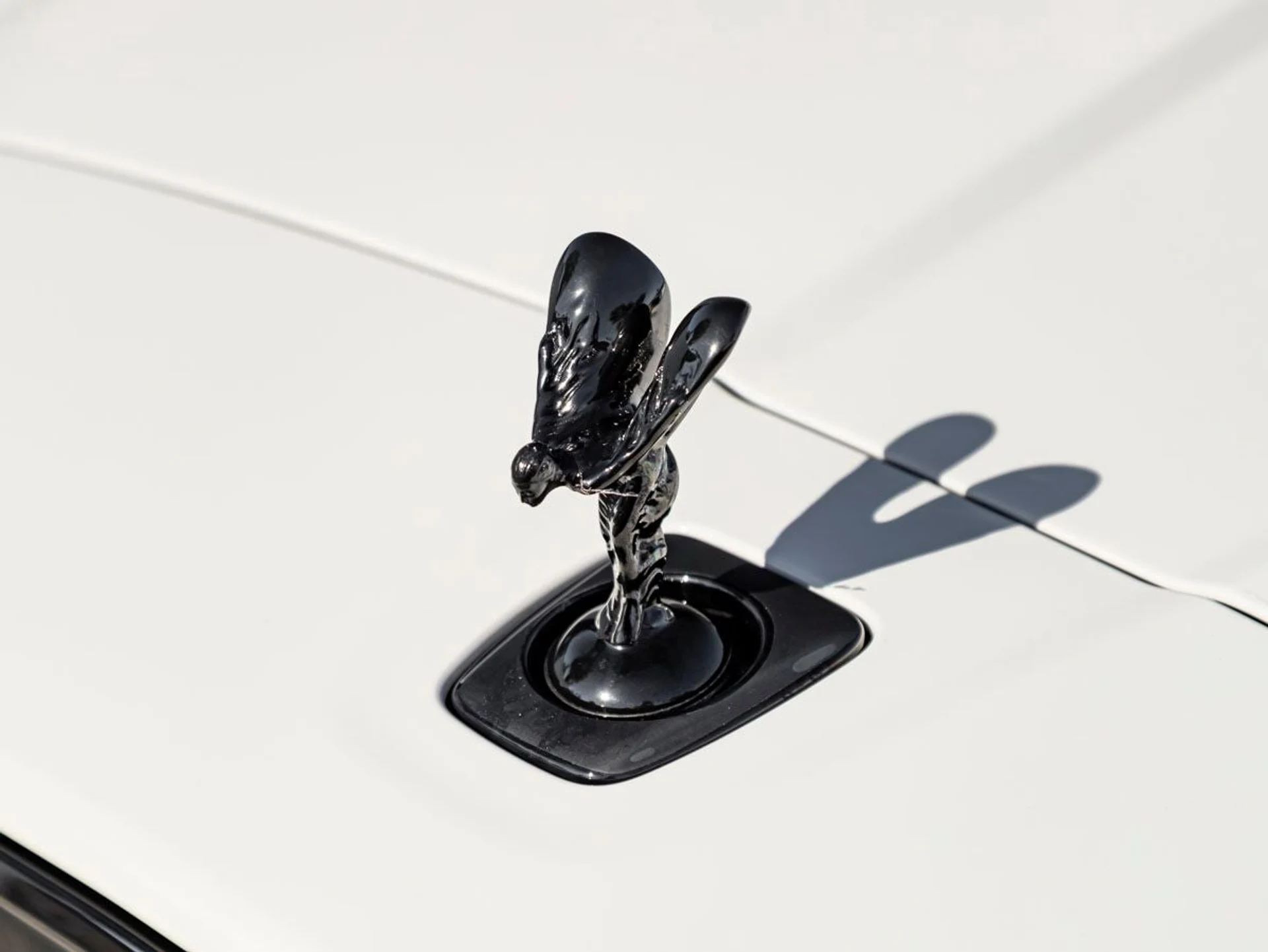 mph006_3909029670_7_39d14aa67b