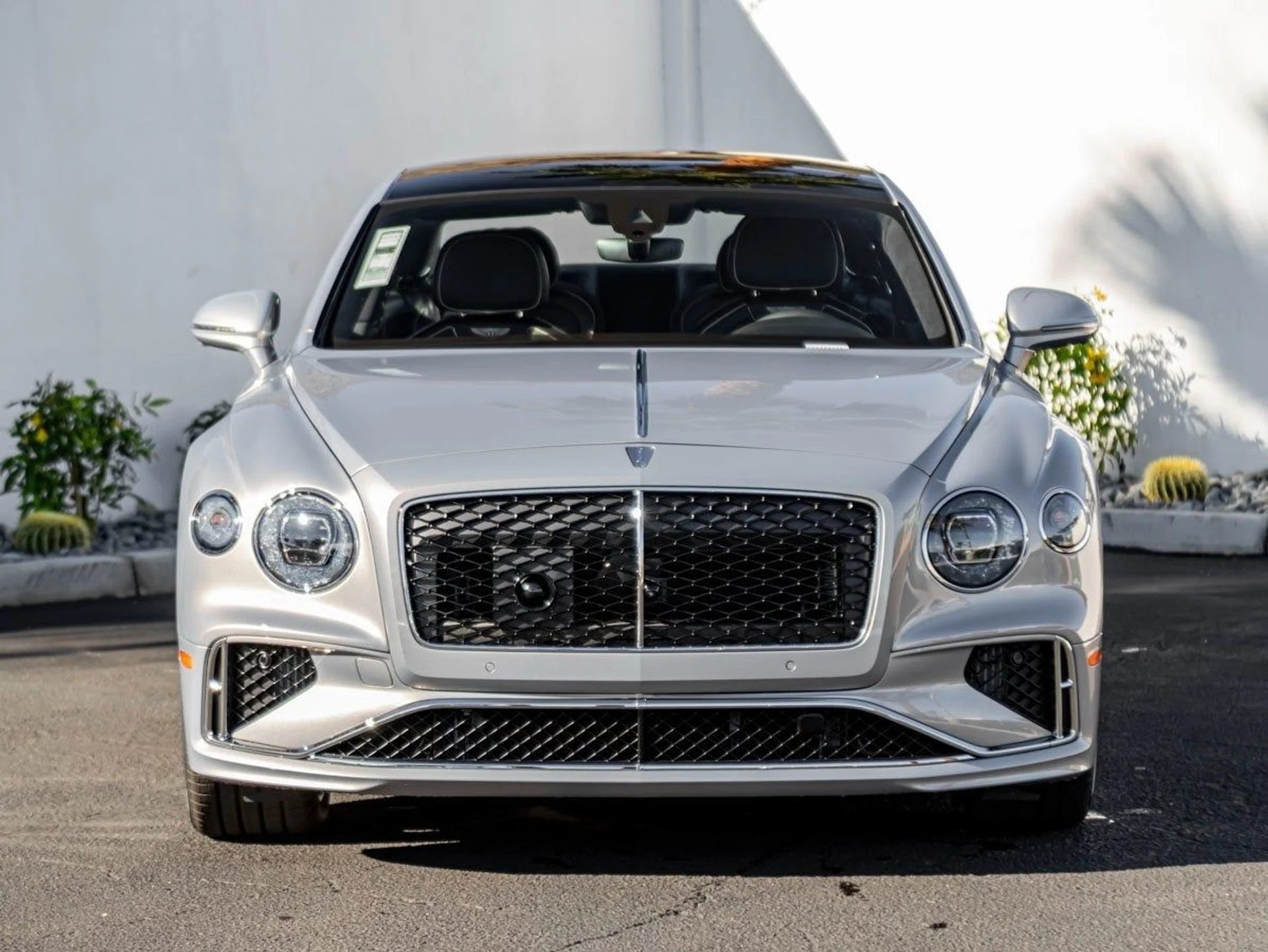 mph006_3932929532_7_c033588662