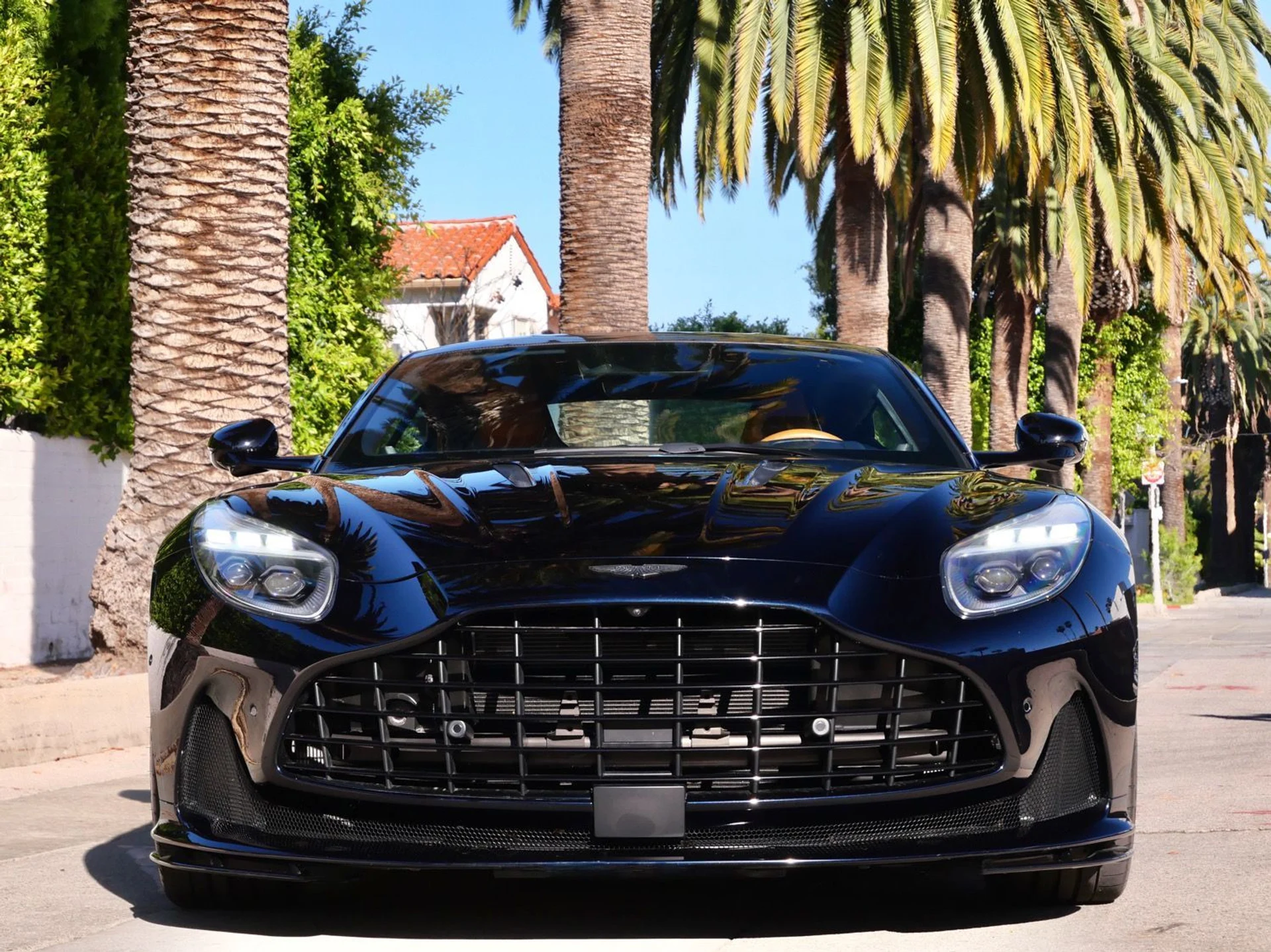 mph006_3939657421_8655392d40e374b811ca01521e36908dx_29882ac7c8