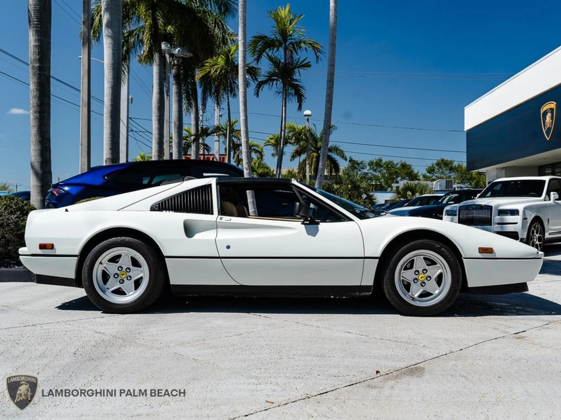 mph006_3949574694_6a984ab4f6bfe8c2a161595e265b5e5c_c6262280d4