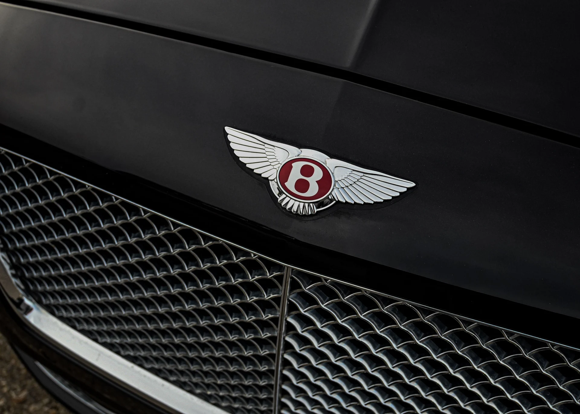 mph006_3951516120_1b7e9b07_a0c2_417a_ae23_d822b08eb39a_91e5315d45