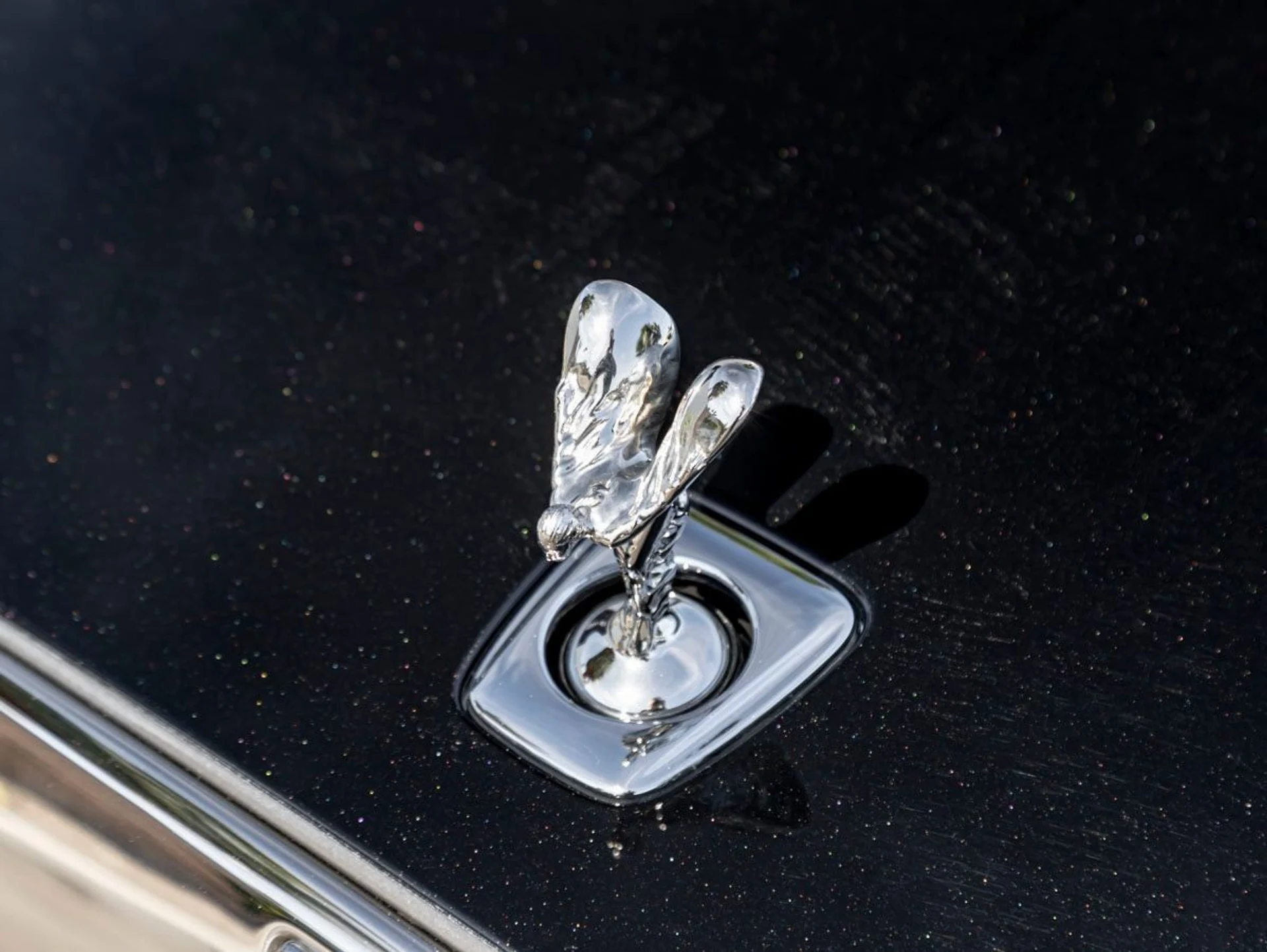 mph006_3985069557_7_c00b00b8aa