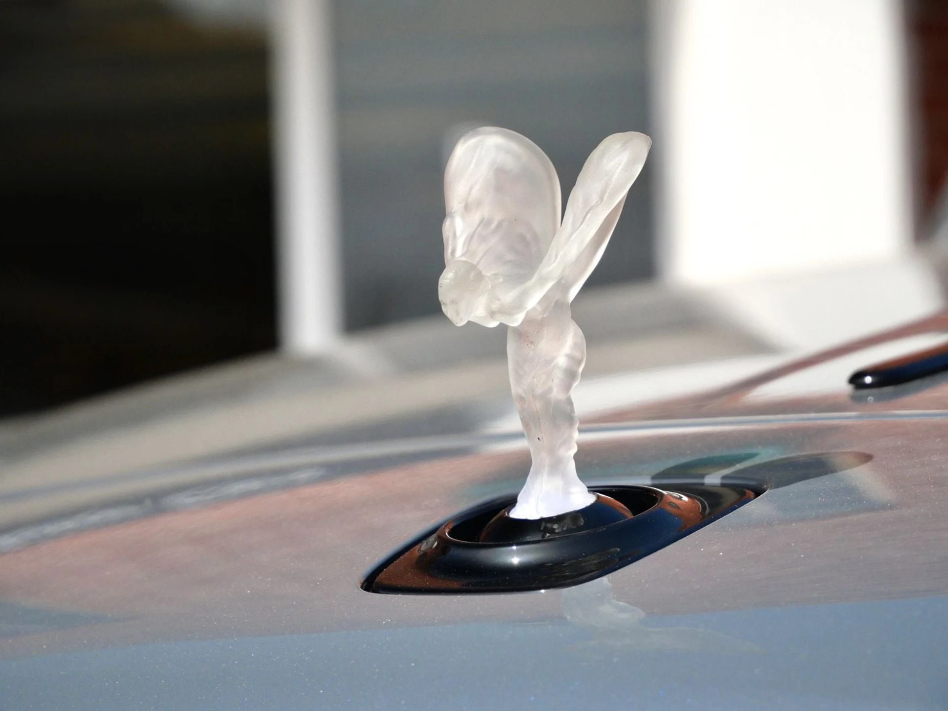 mph006_3995407941_21543649a8a1bb5c3812d7a2937f67d5x_5658c2b18e