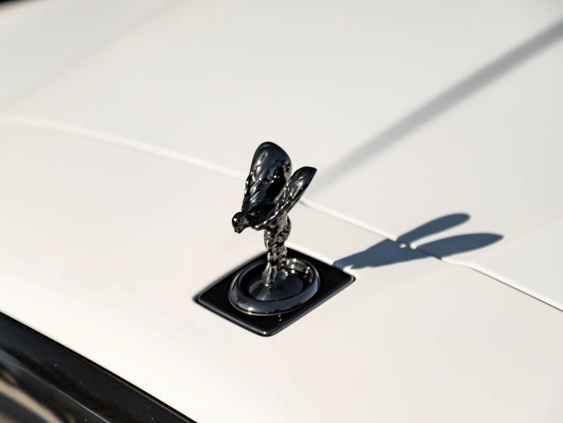 mph006_4010139628_7_7551c468e8