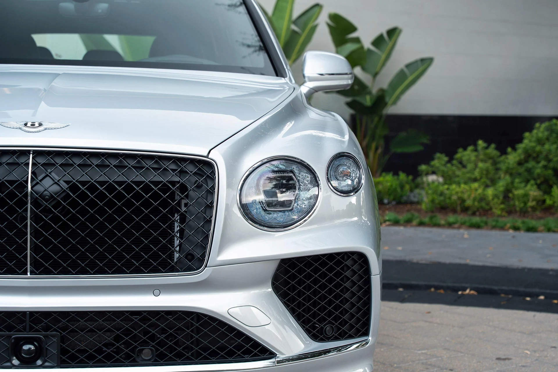 mph006_4024642071_470962005_69254bad4f45499275381066_1ebab18ead