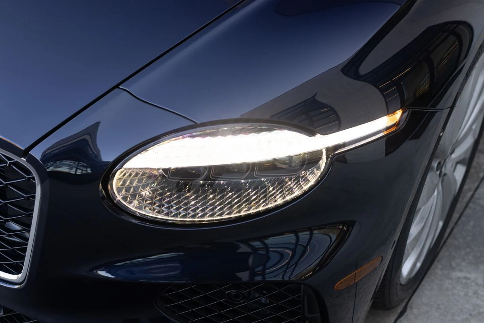 mph006_4035656741_fc2995d2e530612ba4be681c20a77849x_faa38e3a2e