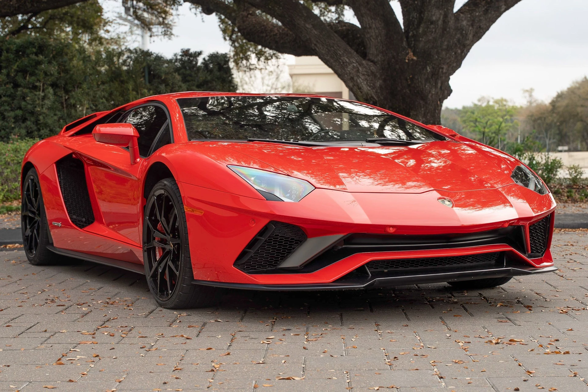 mph006_4036377140_image_7_e6cace4cdb