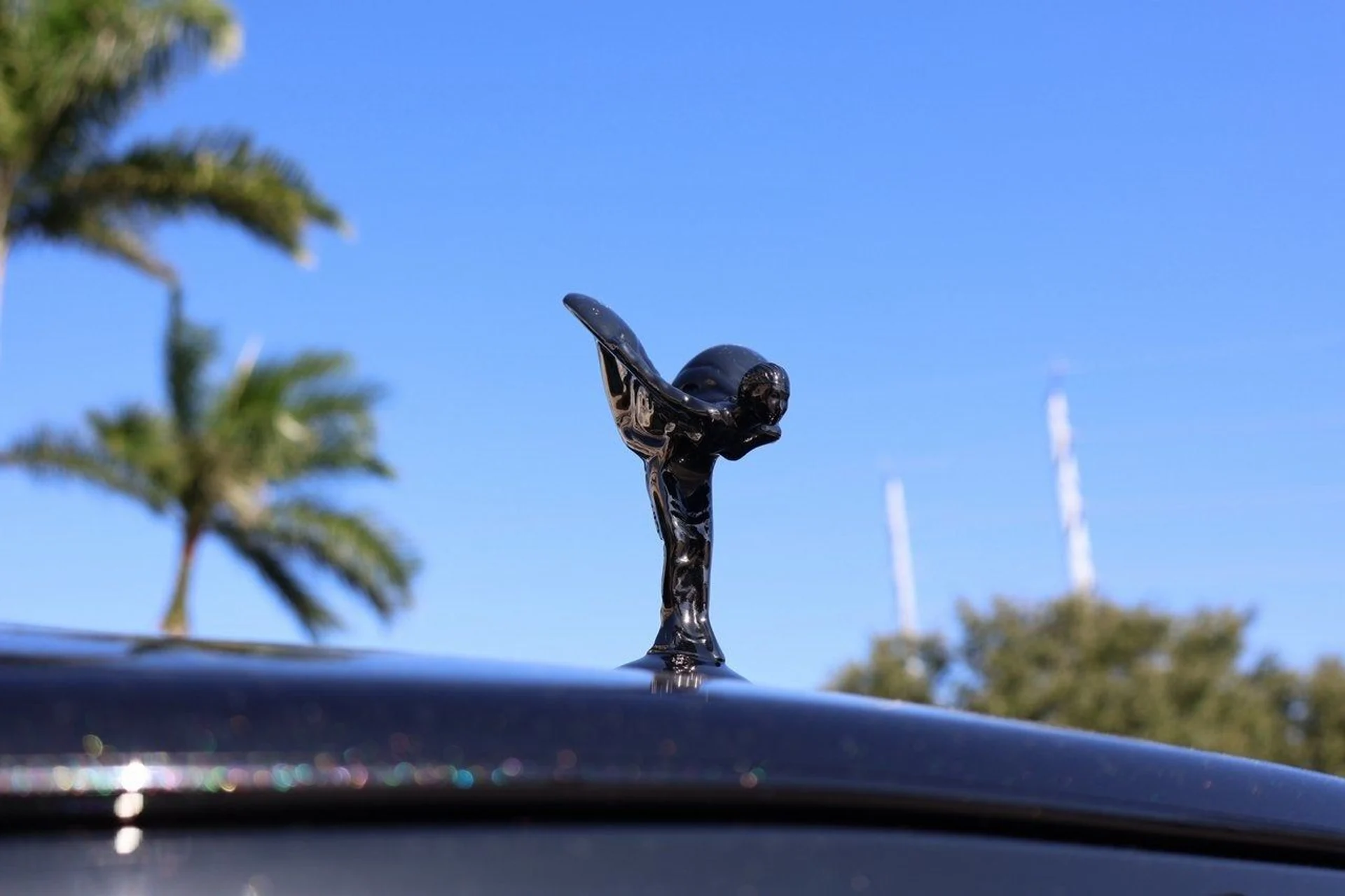 mph006_4059164753_7_7be6d76d5e