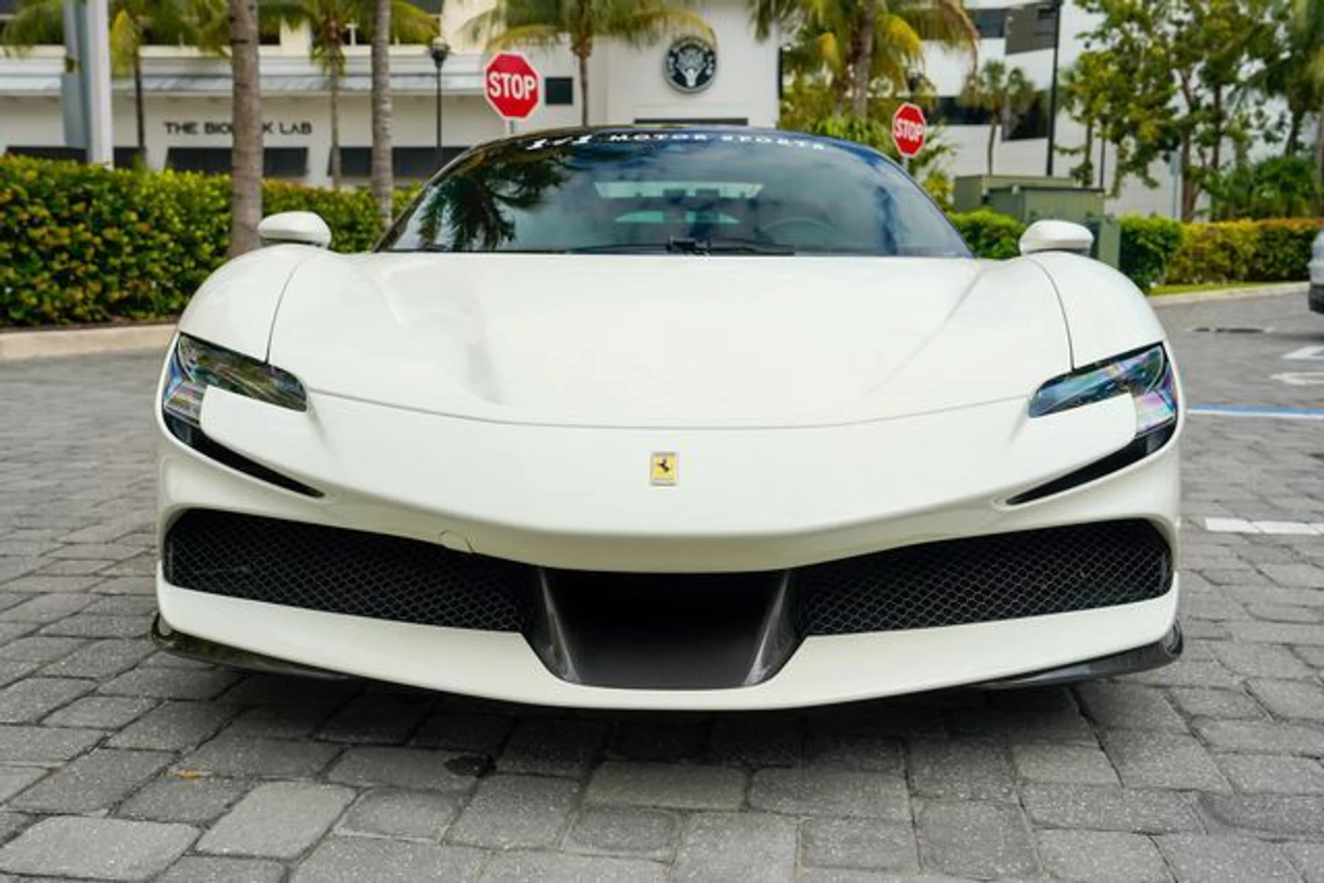 mph006_4066962920_22977808_7_f274e5a345