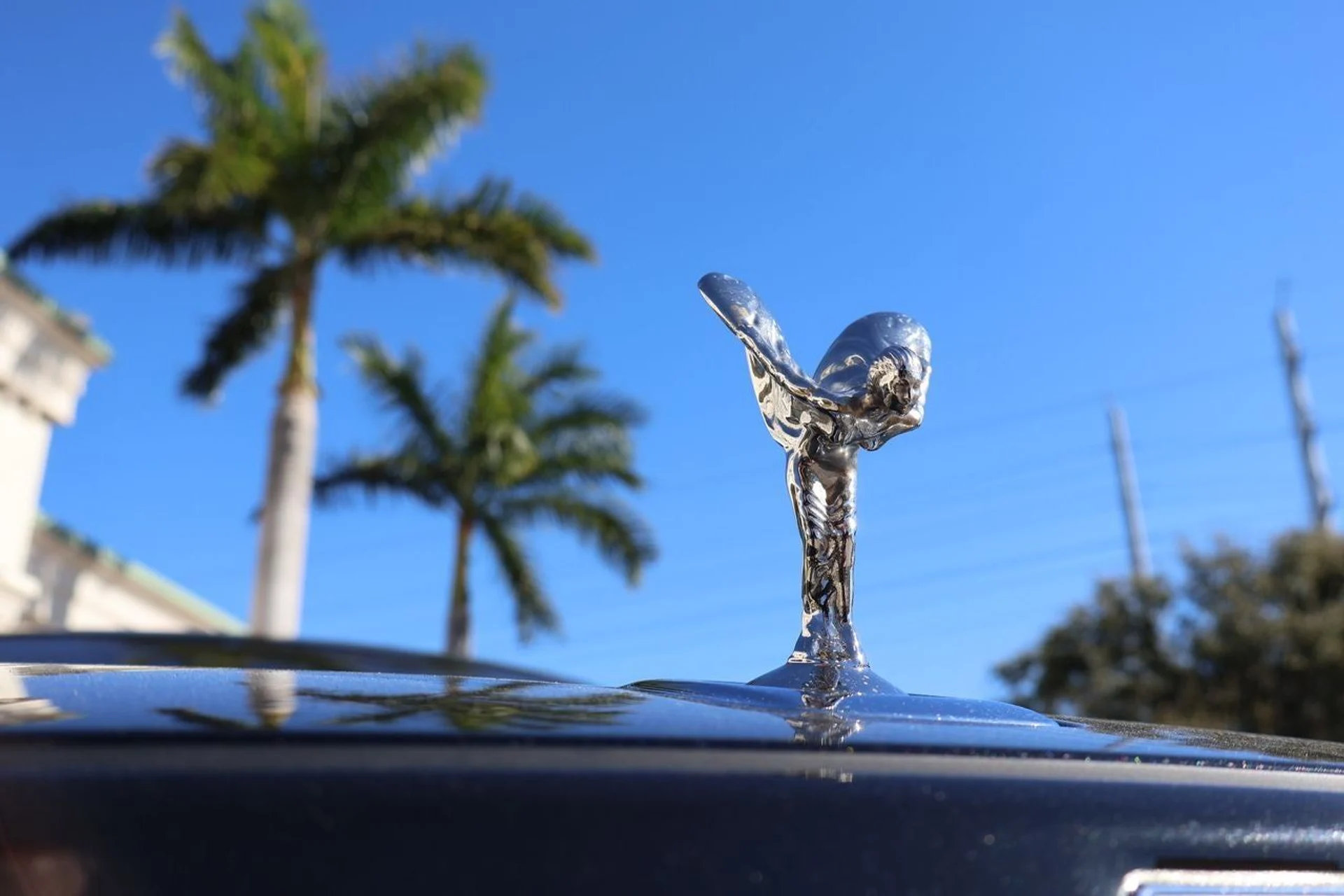 mph006_408774344_7_761fd9437a