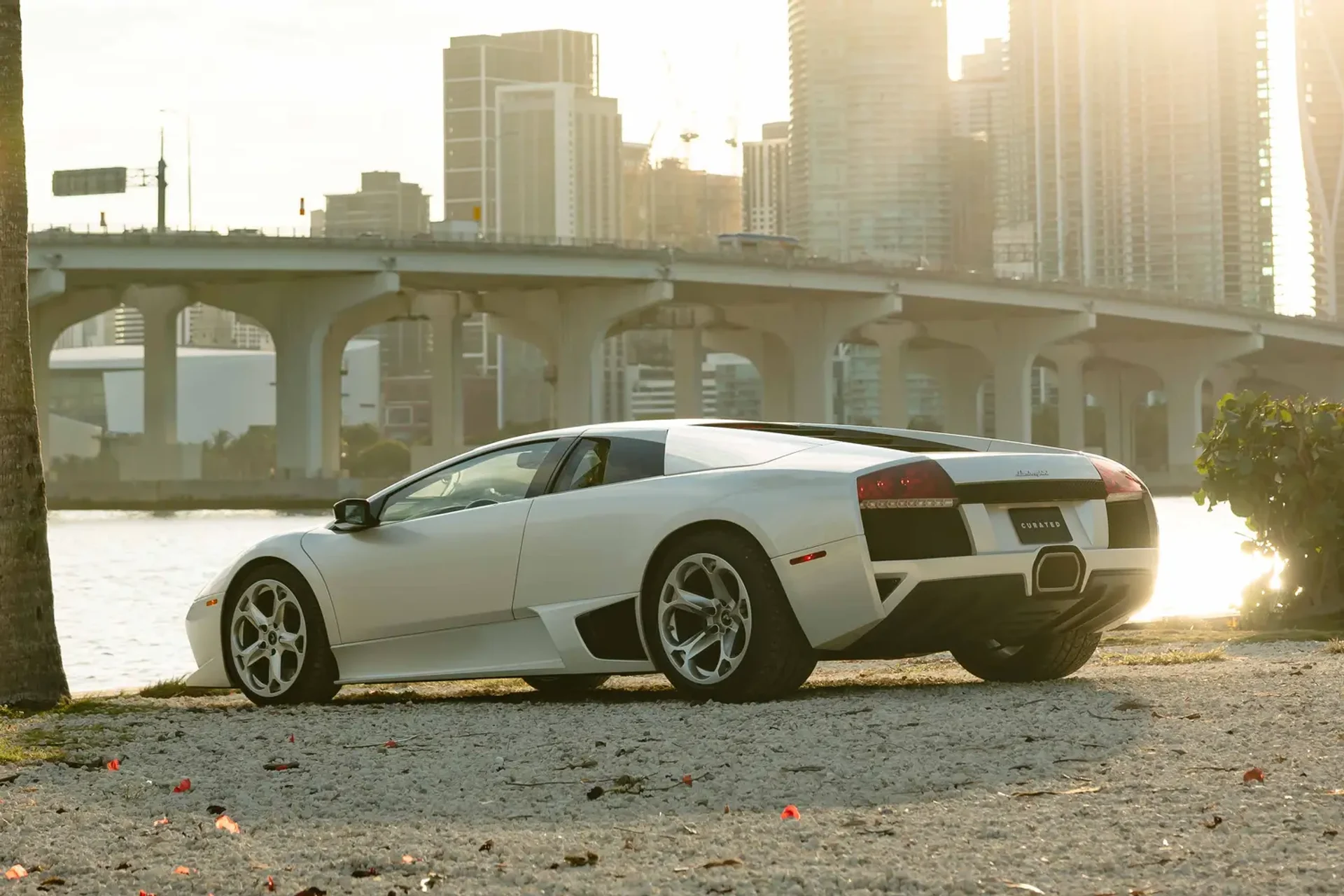 mph006_4099457153_6941da4b44b7ae7d74168c73_gallery_image_6_1765923396434_3b6f7af3ad