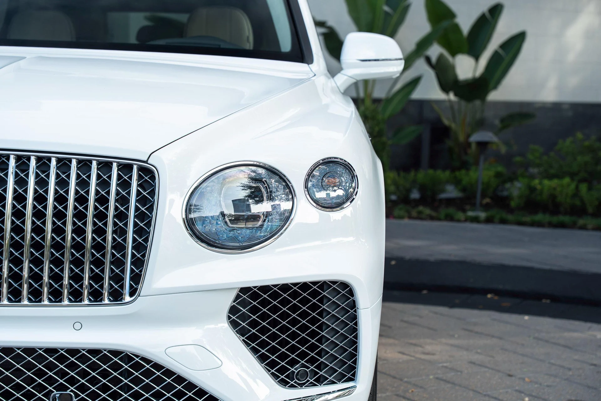 mph006_4116908537_462758411_6954bf744e73cd9f103f4ec6_2effb9da27