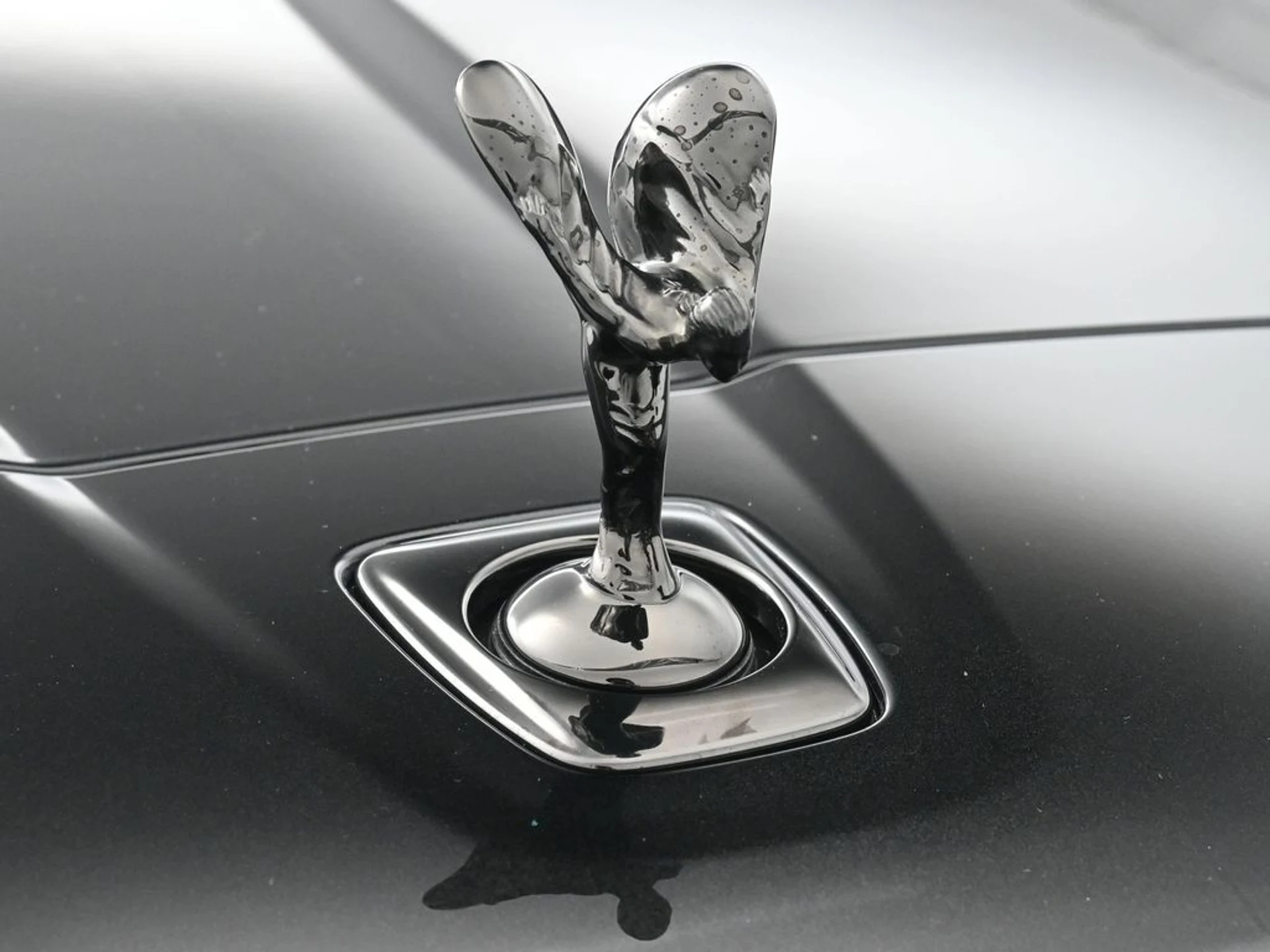 mph006_4132513627_dc5bae3673215d68d58430f649f7add9x_b37815a6ab