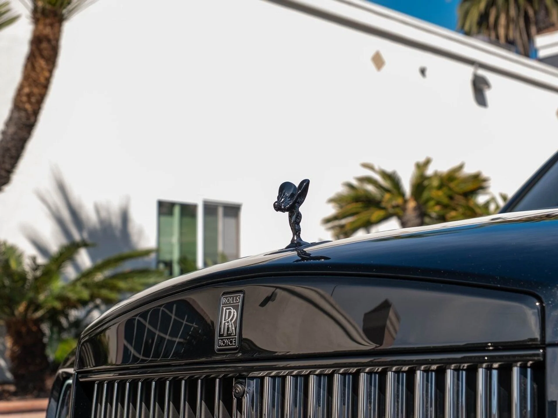 mph006_4133592765_cc4539a0138dce79ad01dcc12729bb13x_cfccd04c53