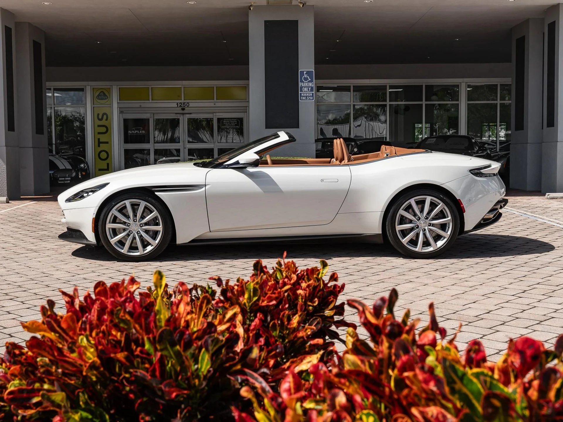 mph006_4143554988_Used_2019_Aston_Martin_DB_11_1760731517_d2a700aa4e