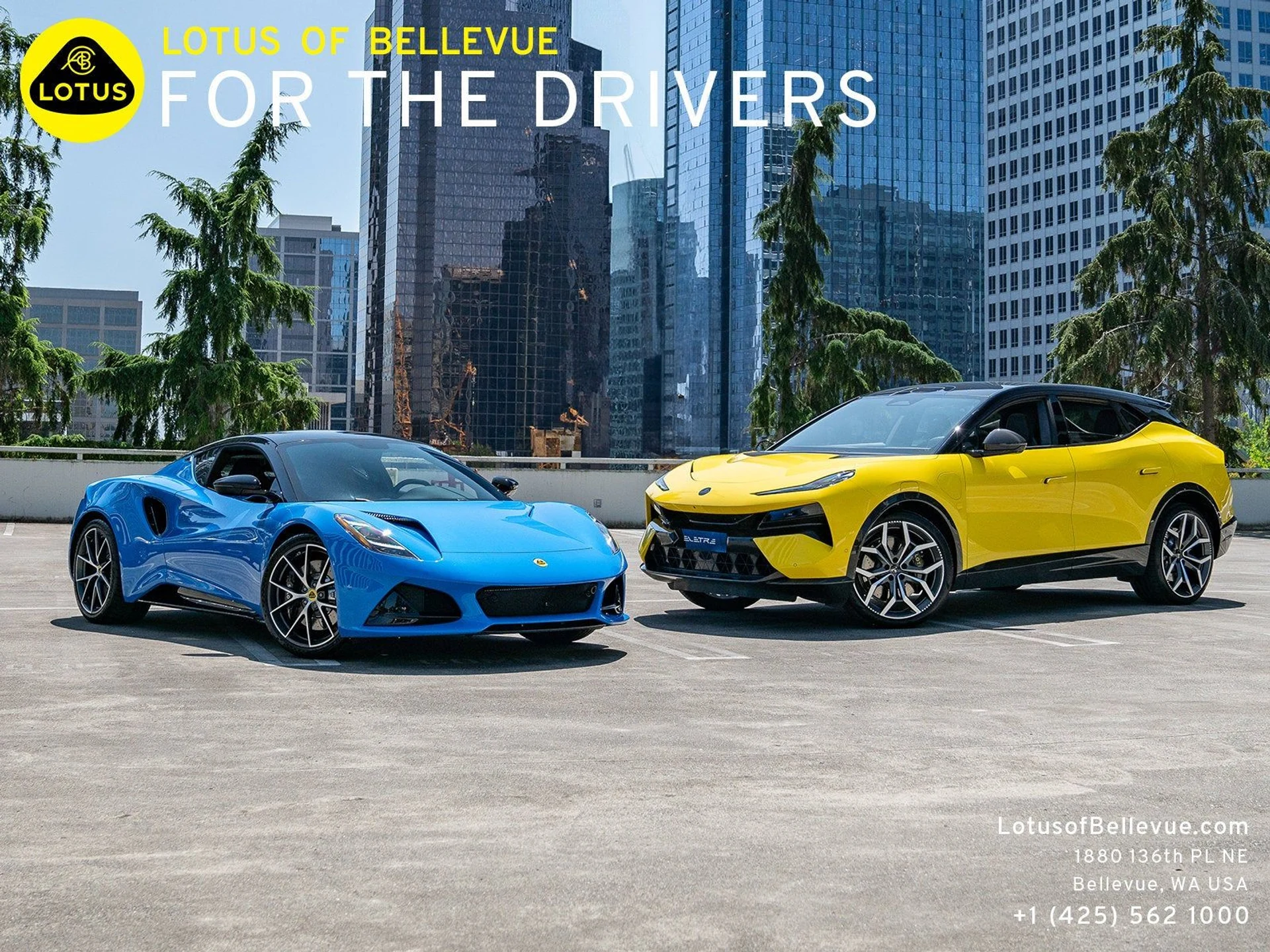 mph006_4148731086_7_bebf239591